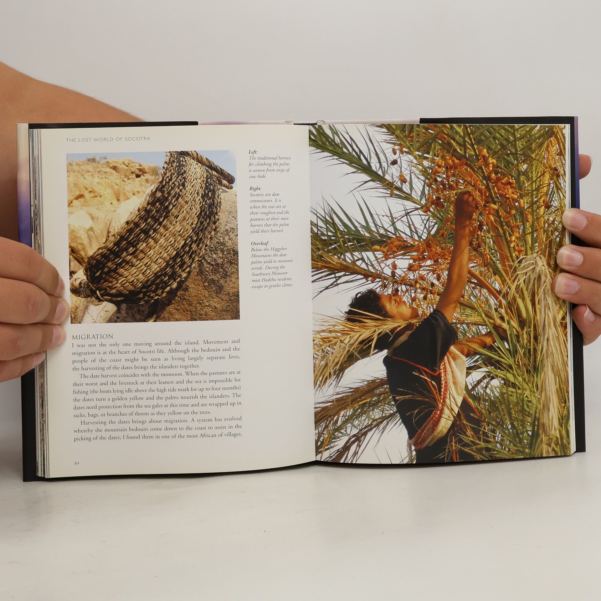 Richard Boggs The Lost World of Socotra