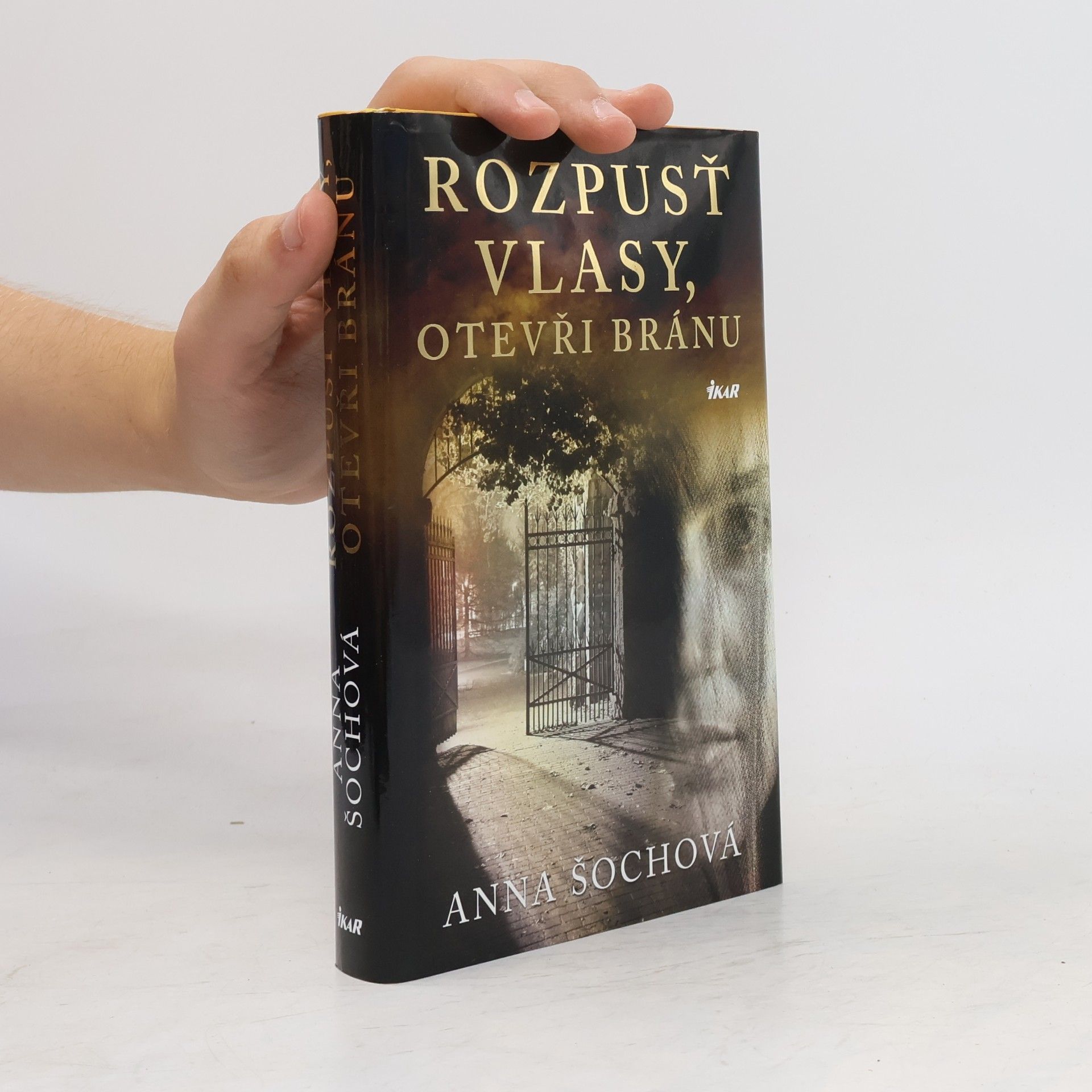 Rozpusť vlasy, otevři bránu