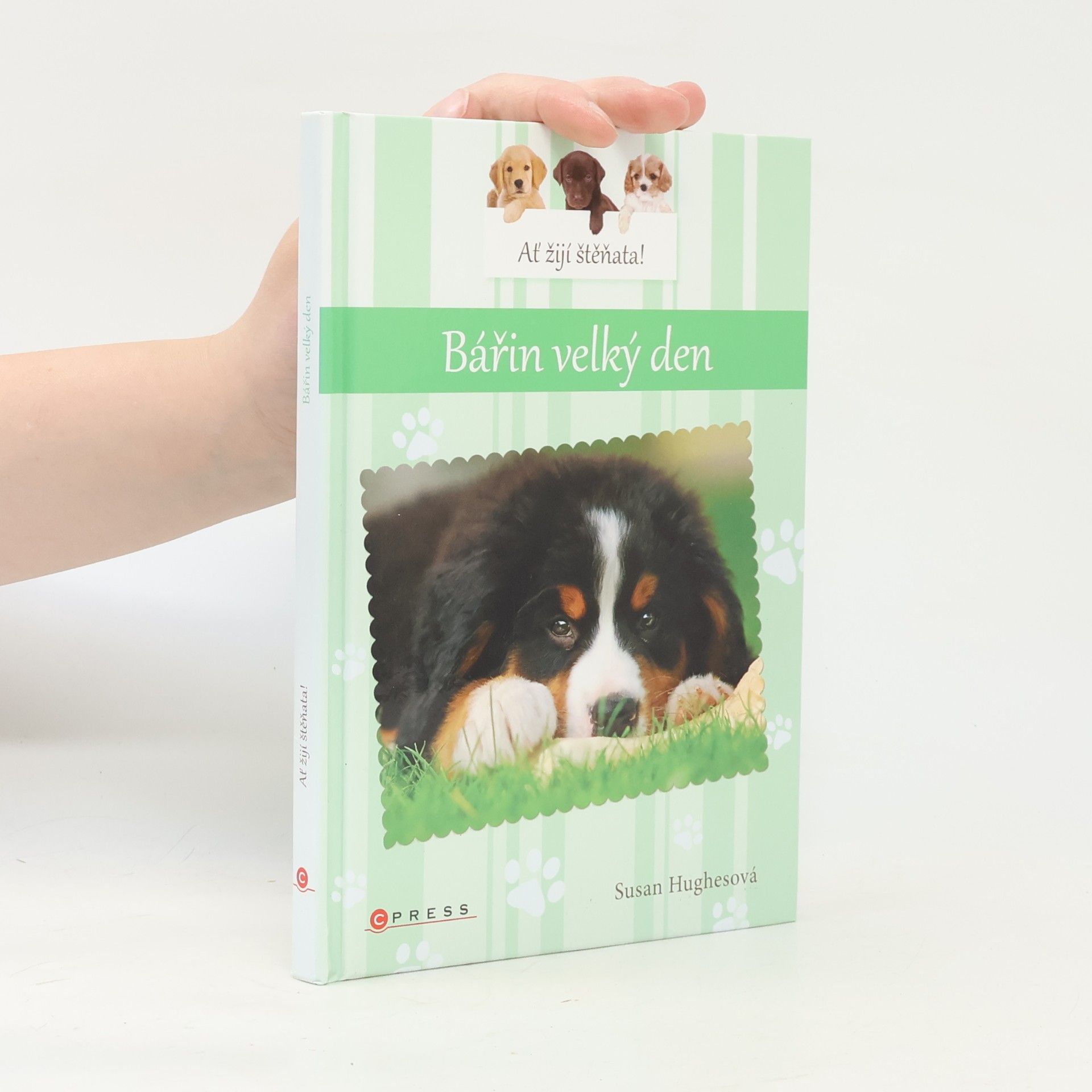Susan Hughes Bářin velký den
