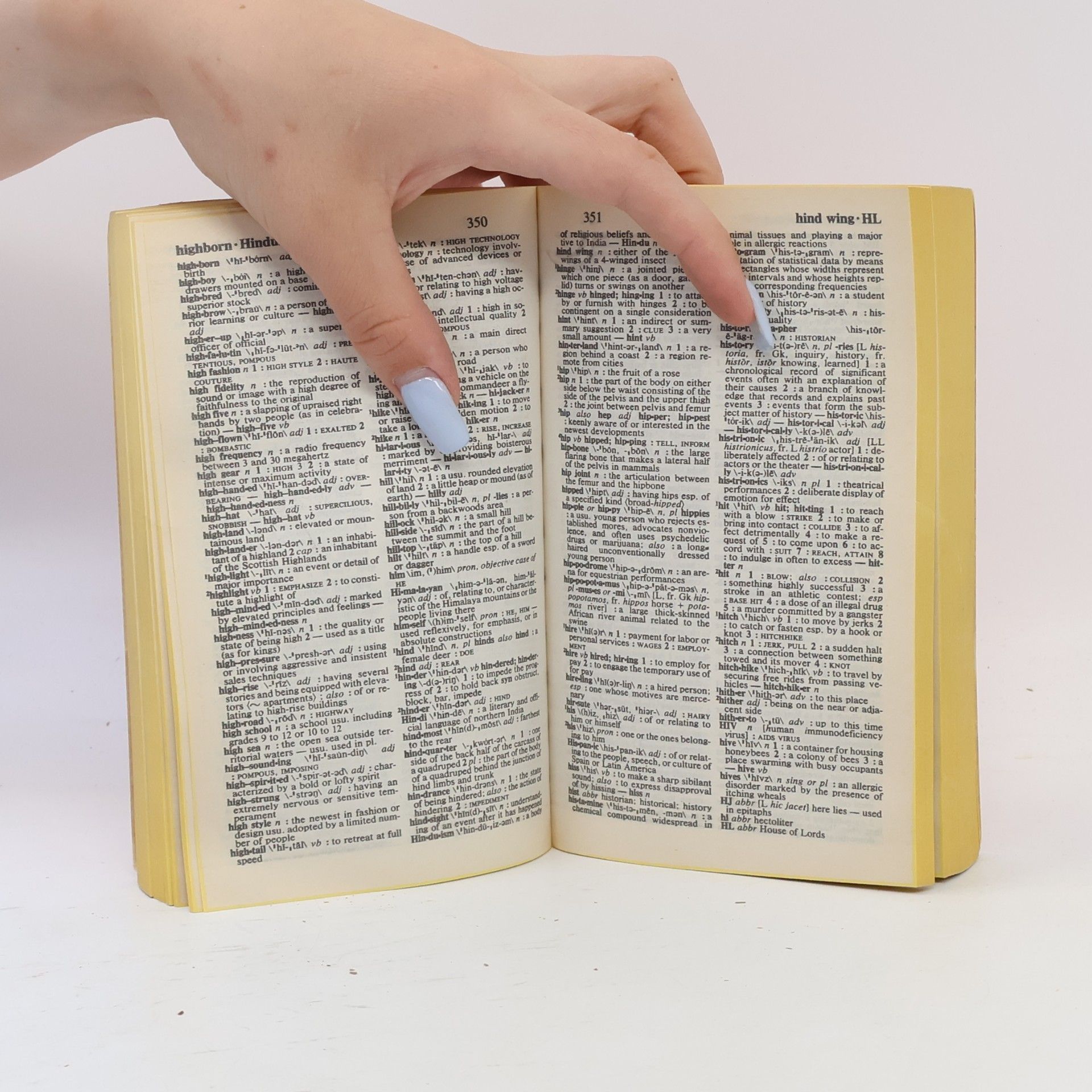 Kolektiv autorů The new Merriam-Webster dictionary