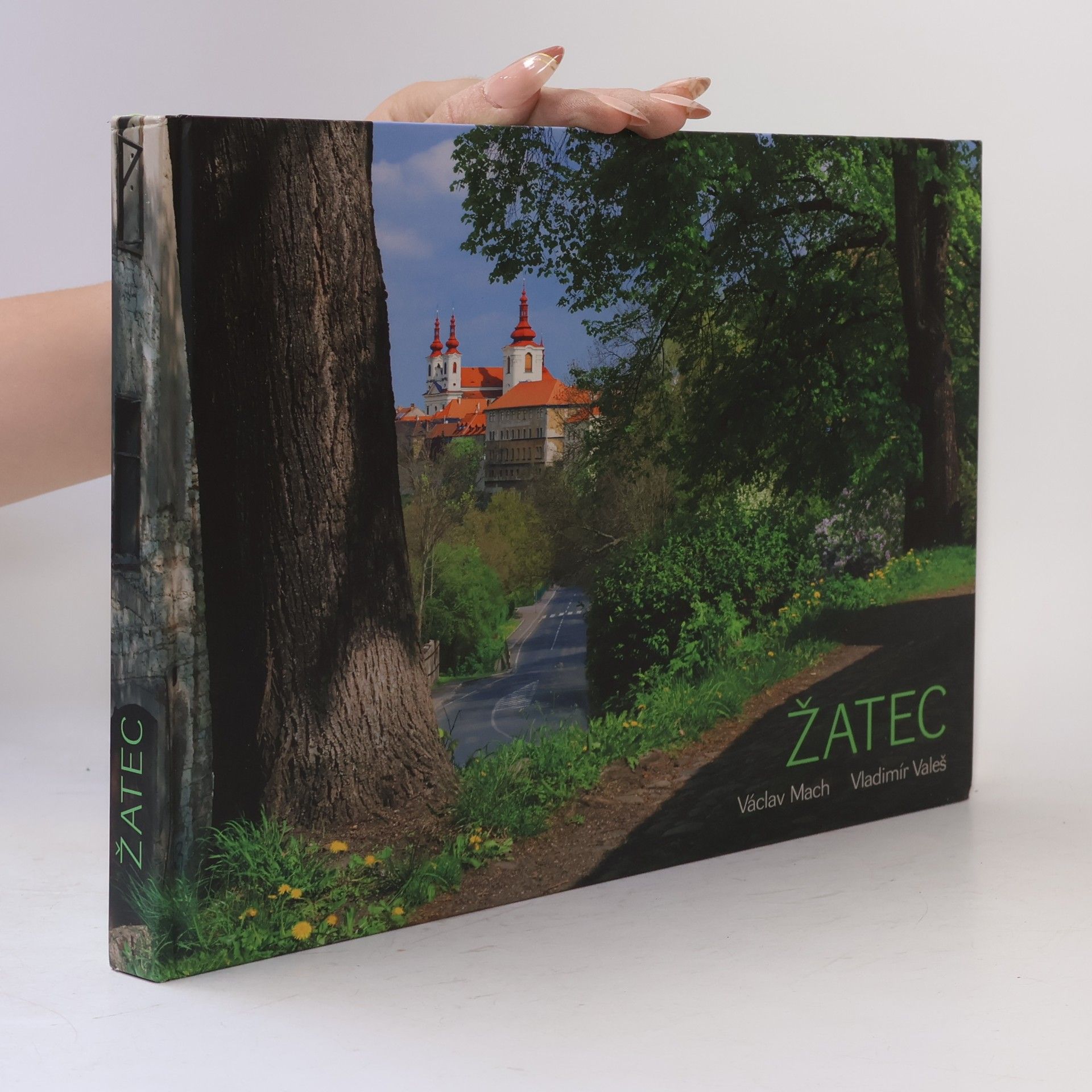 Žatec