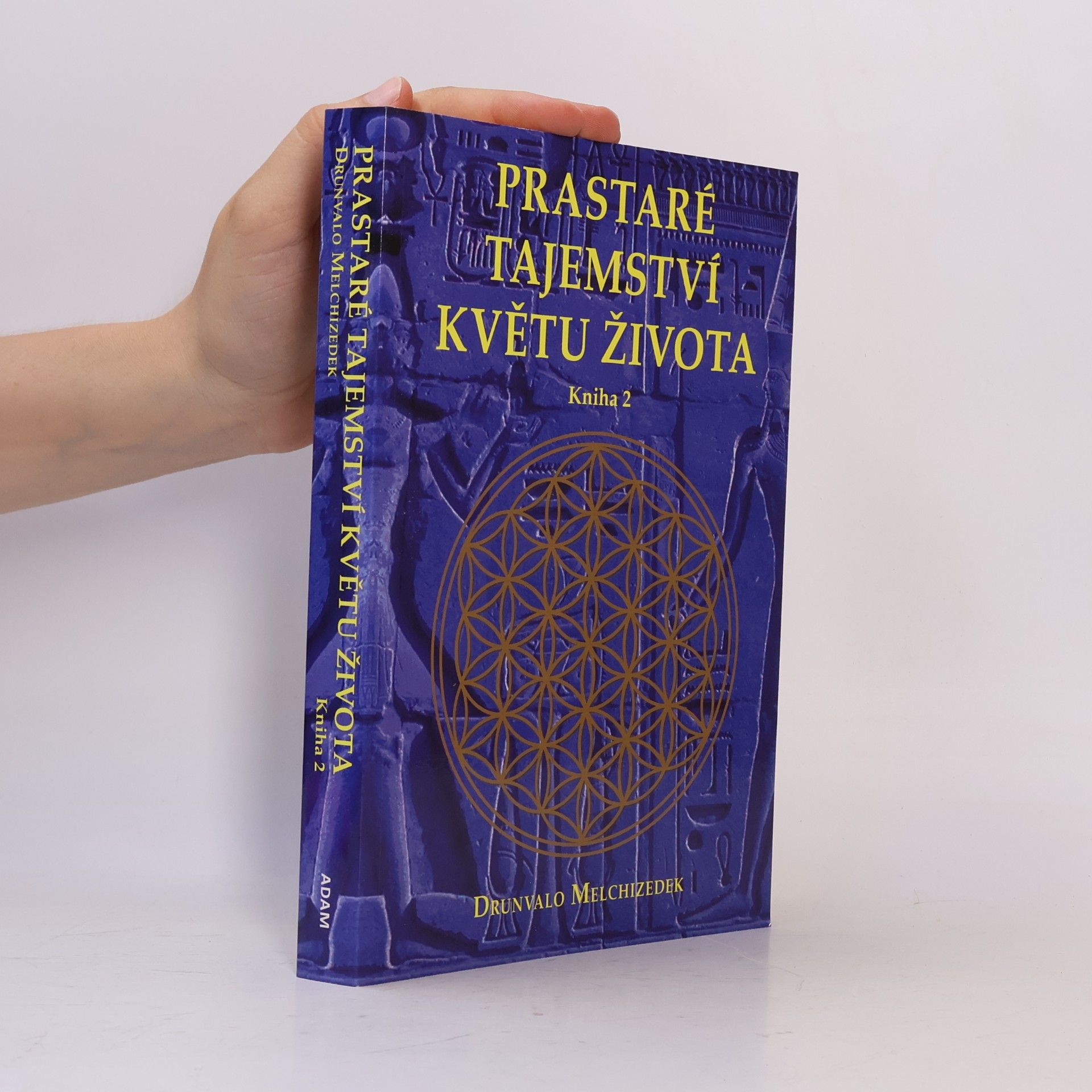 Petr Kobza Prastaré tajemství Květu života. 2. díl