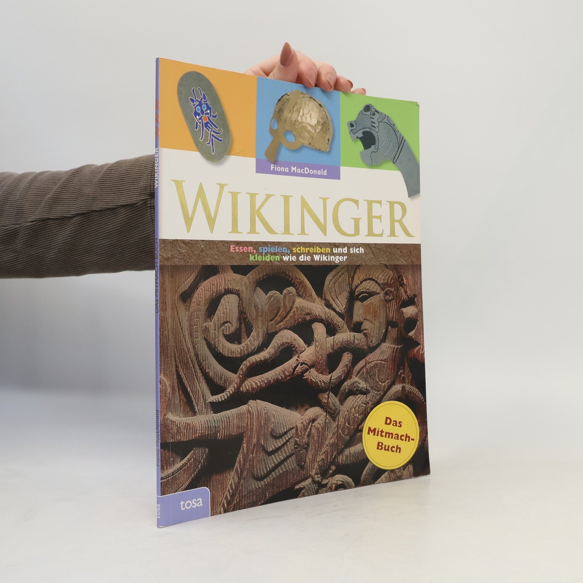 Fiona Macdonald Wikinger