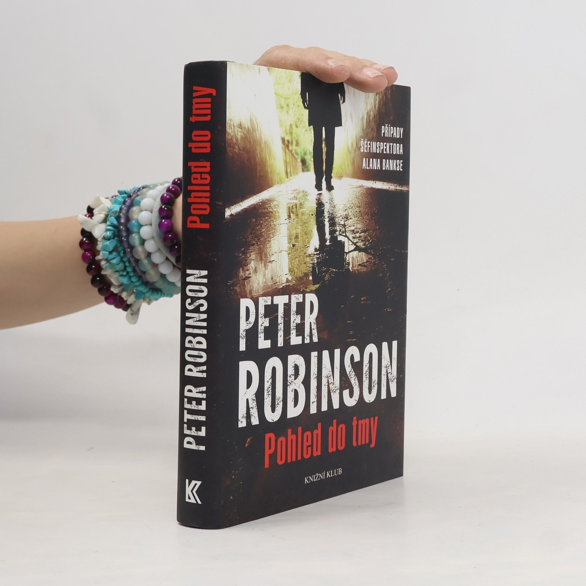 Peter Robinson Pohled do tmy