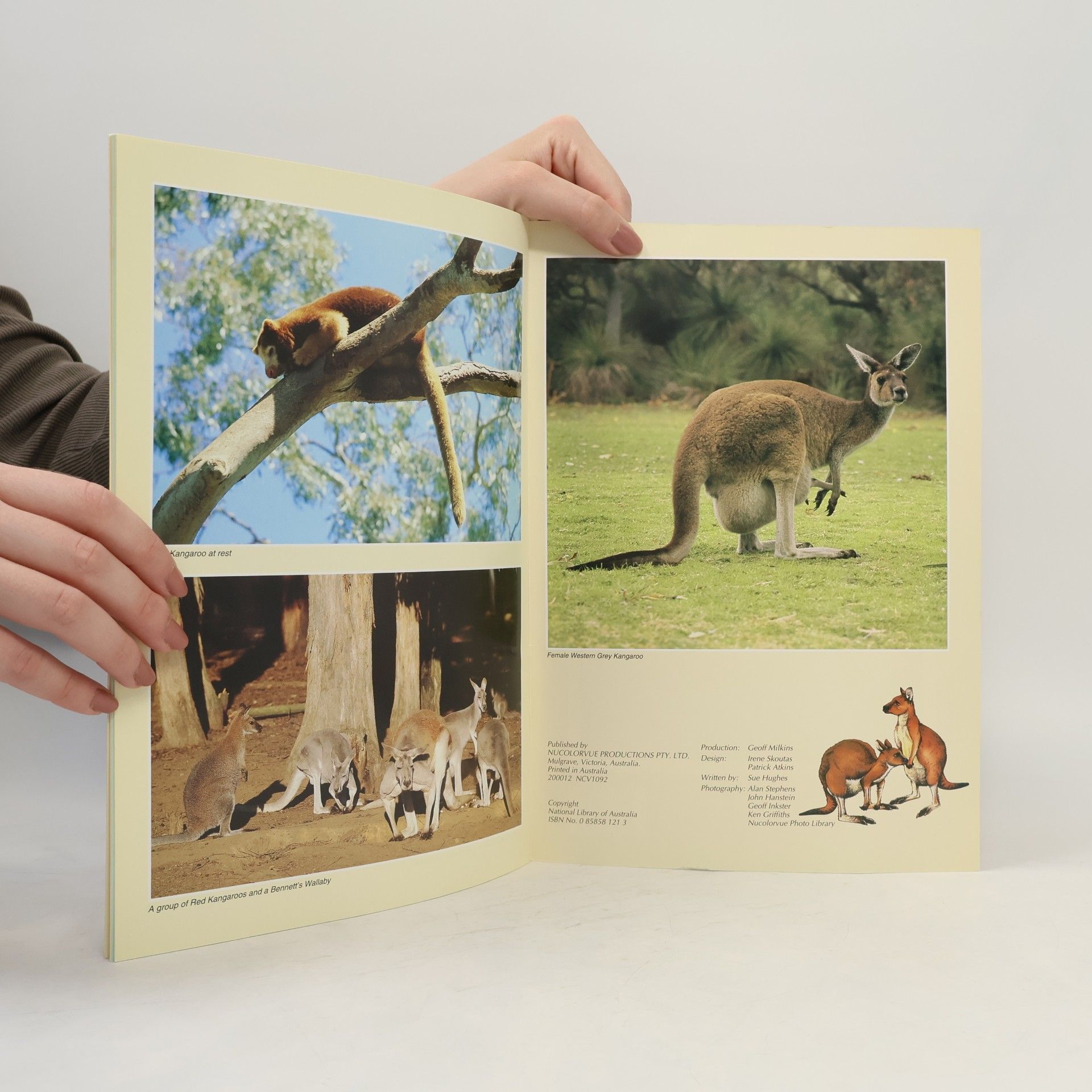 Sue Hughes Presenting Australia's Kangaroos