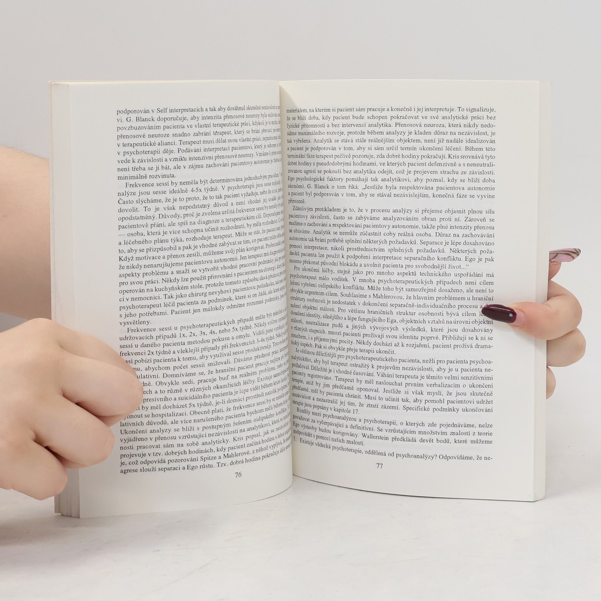 R. Blanck Ego-psychologie: Teorie a praxe