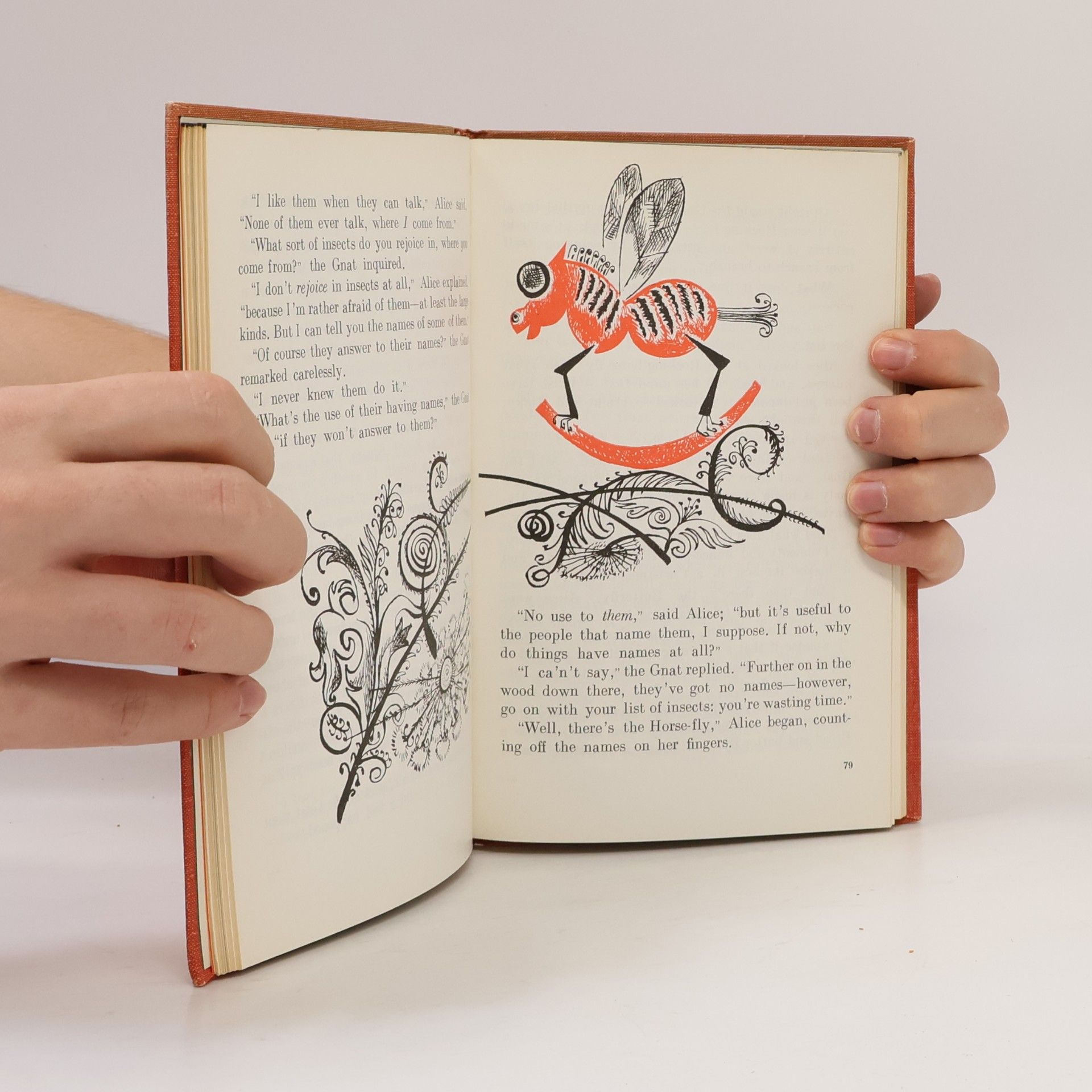 Lewis Carroll Through the Looking Glass