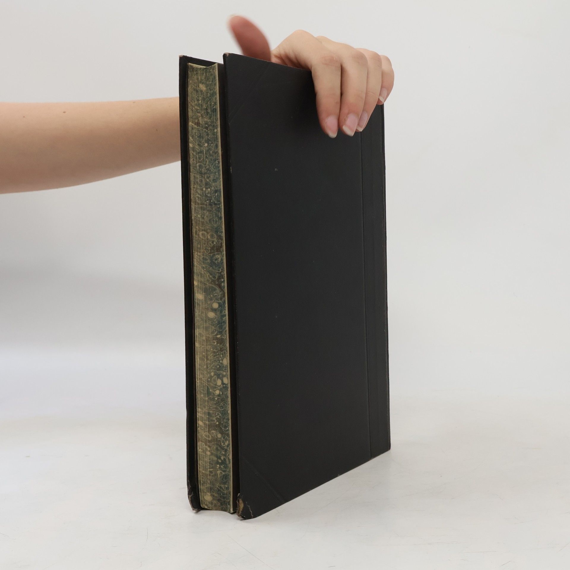 Kleine Schriften I.