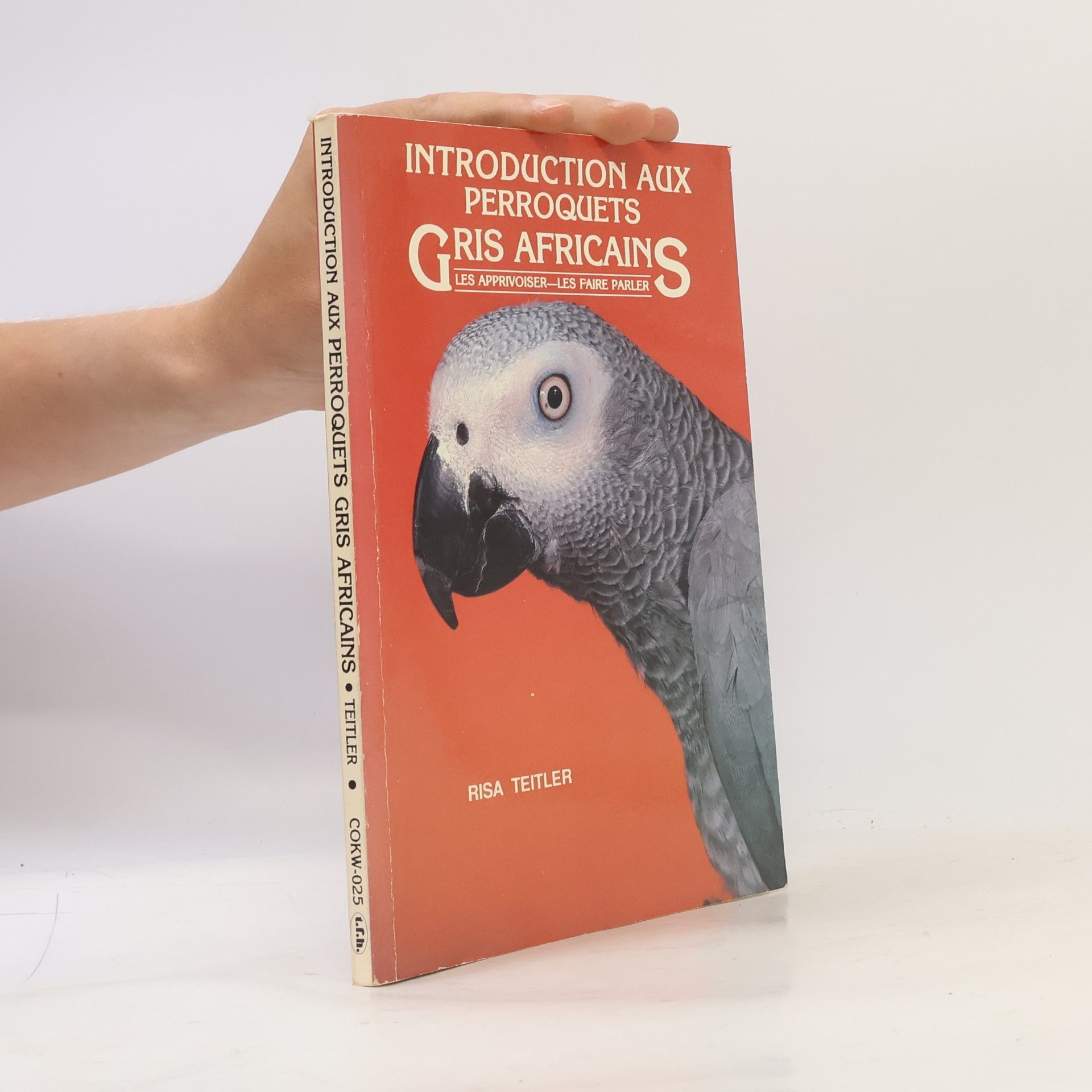 Risa Teitler Introduction aux Perroquets Gris Africains