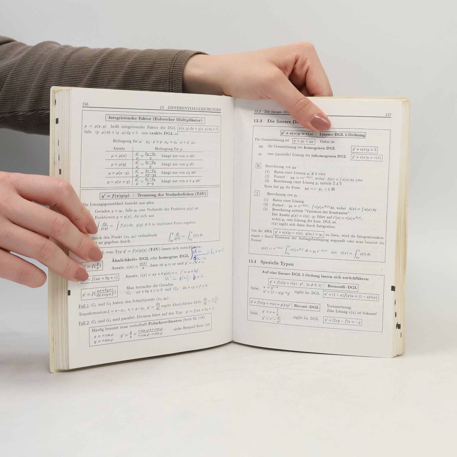 Gerhard Merziger Formeln + Hilfen zur höheren Mathematik