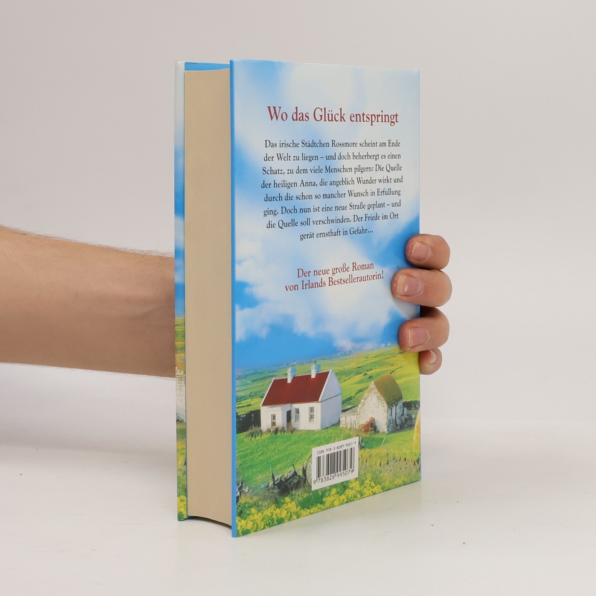 Maeve Binchy Straße ins Glück