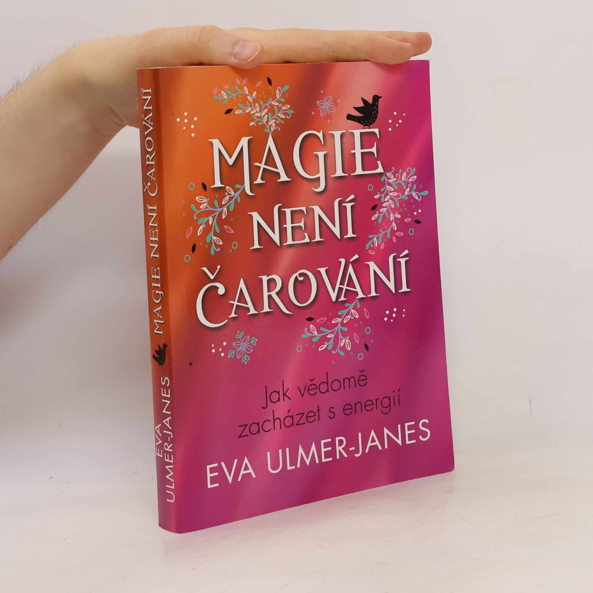 Eva Ulmer Janes Magie není čarování