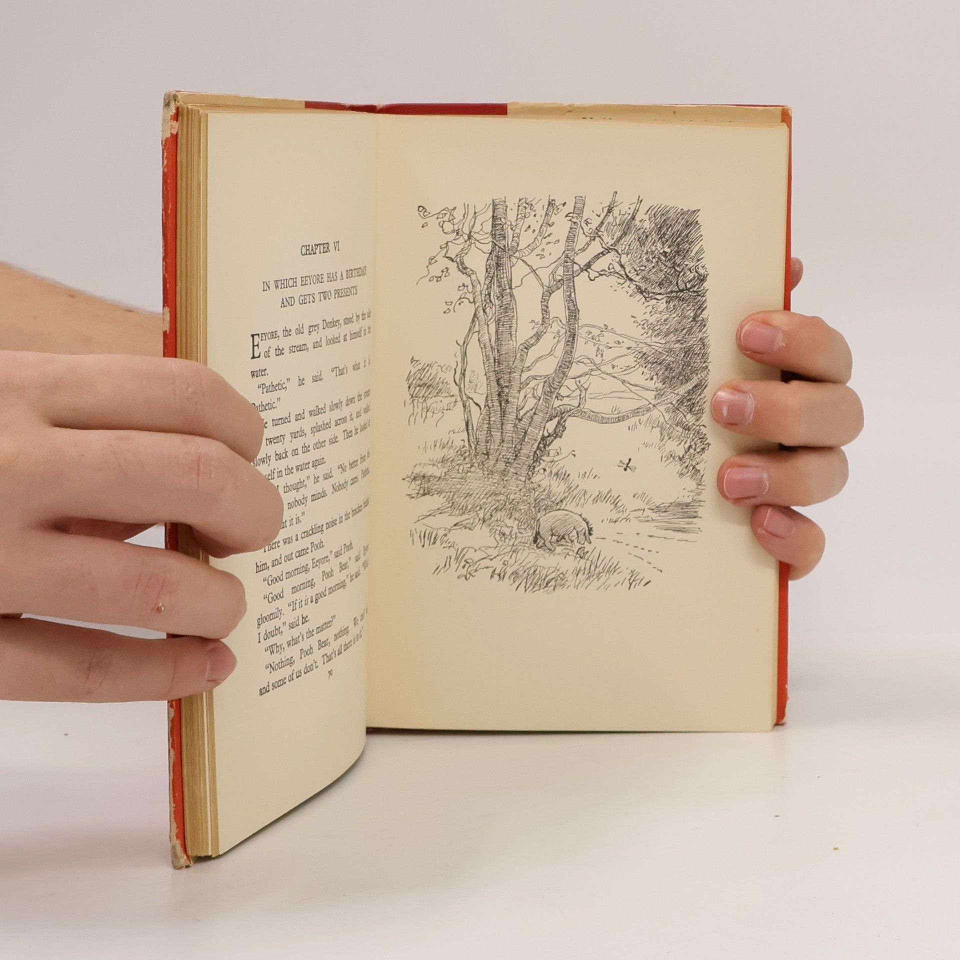 A. A. Milne Winnie - The Pooh