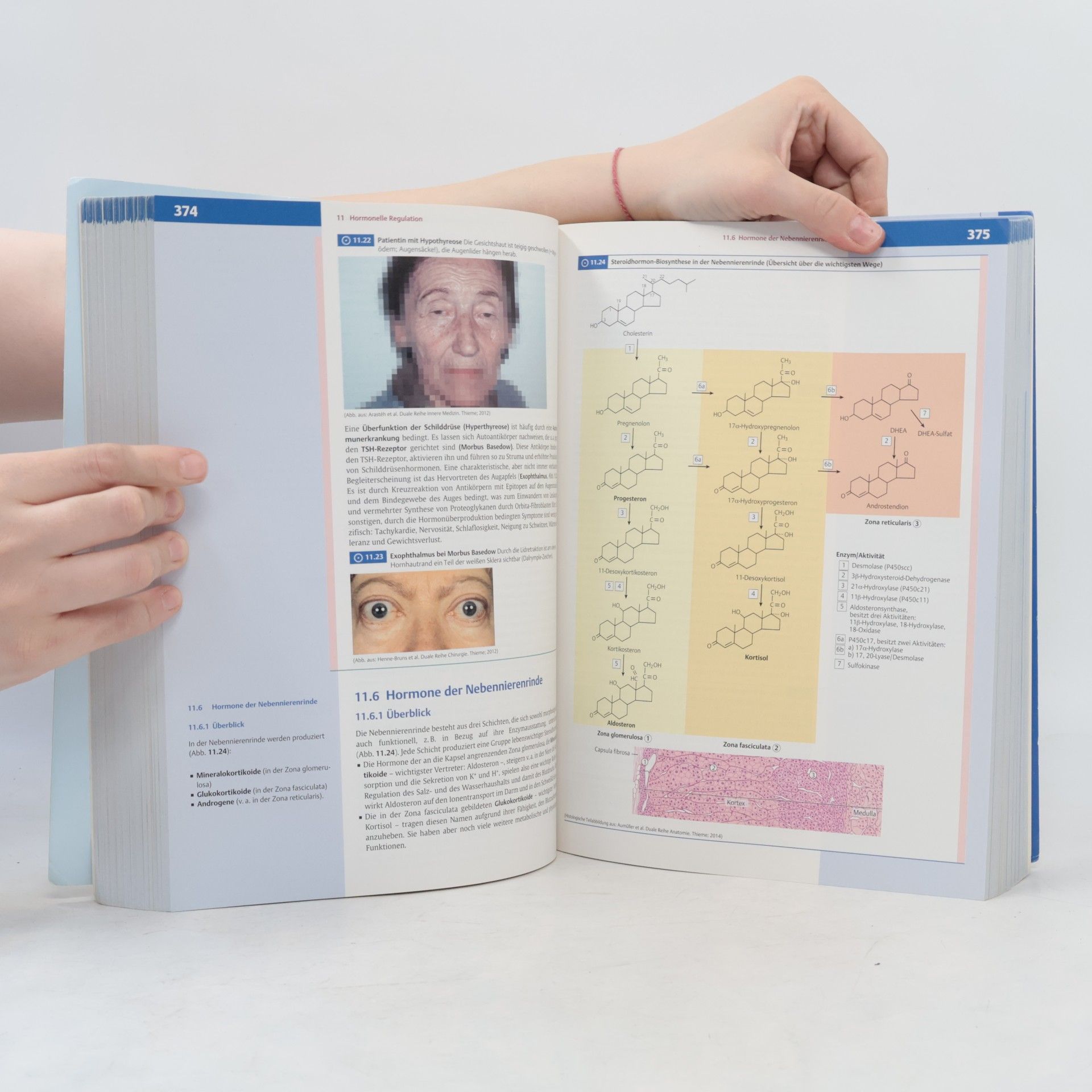 Jan C. Behrends Physiologie