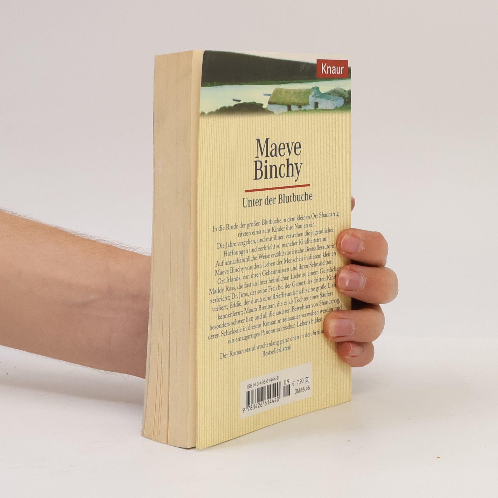 Maeve Binchy Unter der Blutbuche