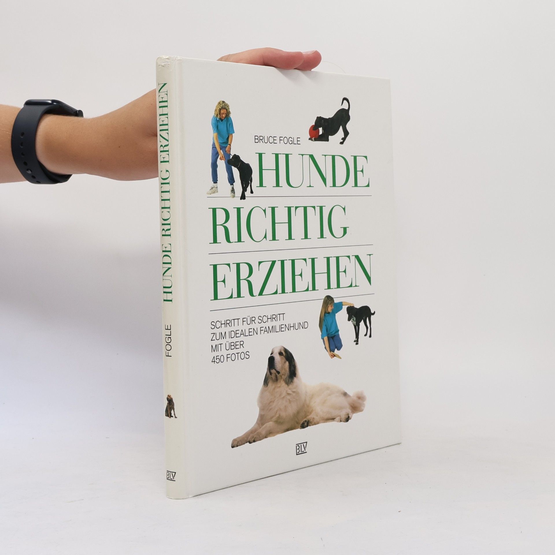 Bruce Folge Hunde richtig erziehen
