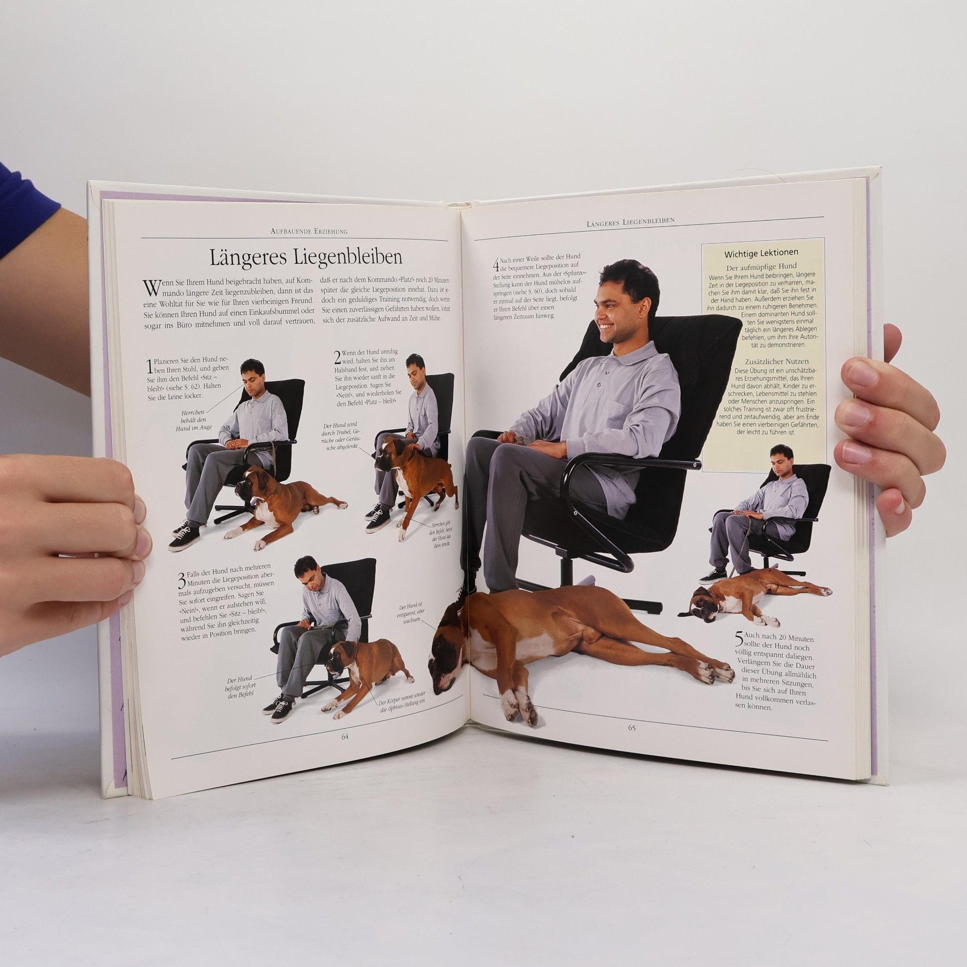 Bruce Fogle Hunde richtig erziehen