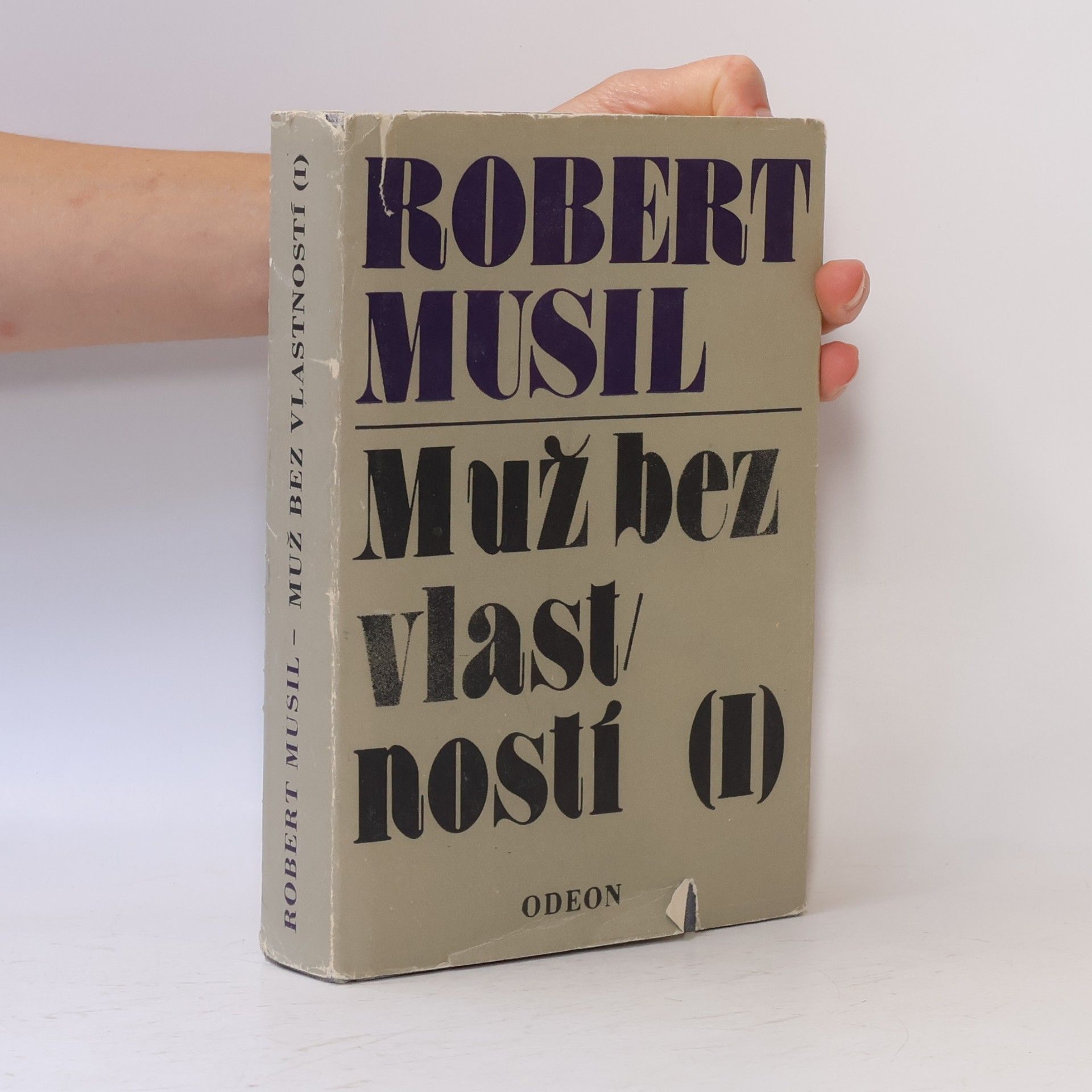Robert Musil Muž bez vlastností I