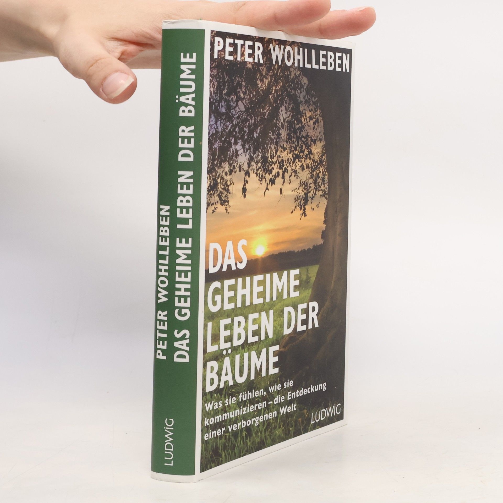 Peter Wohlleben Das geheime Leben der Bäume