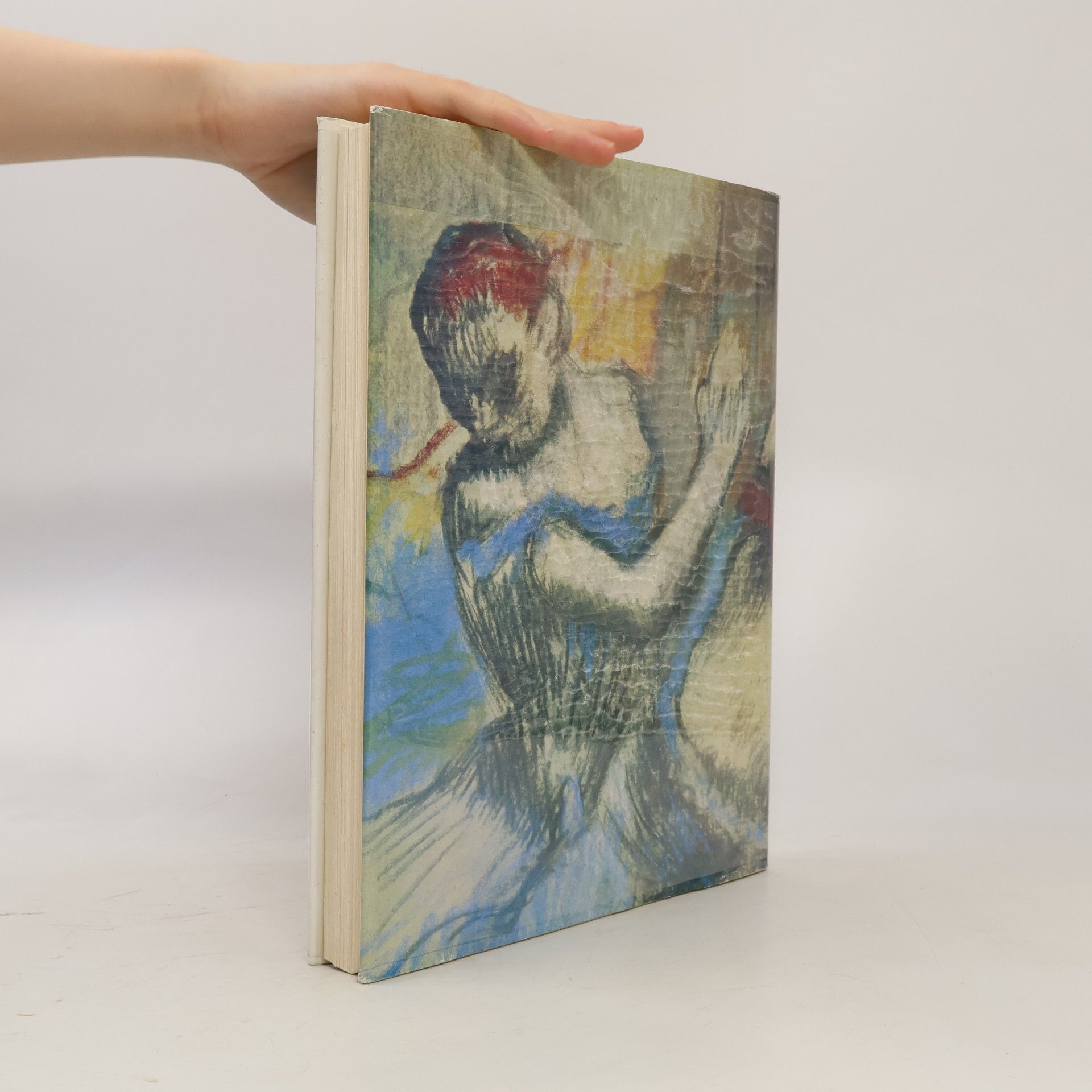Denis Rouart Degas a Renoir. Neznámá díla
