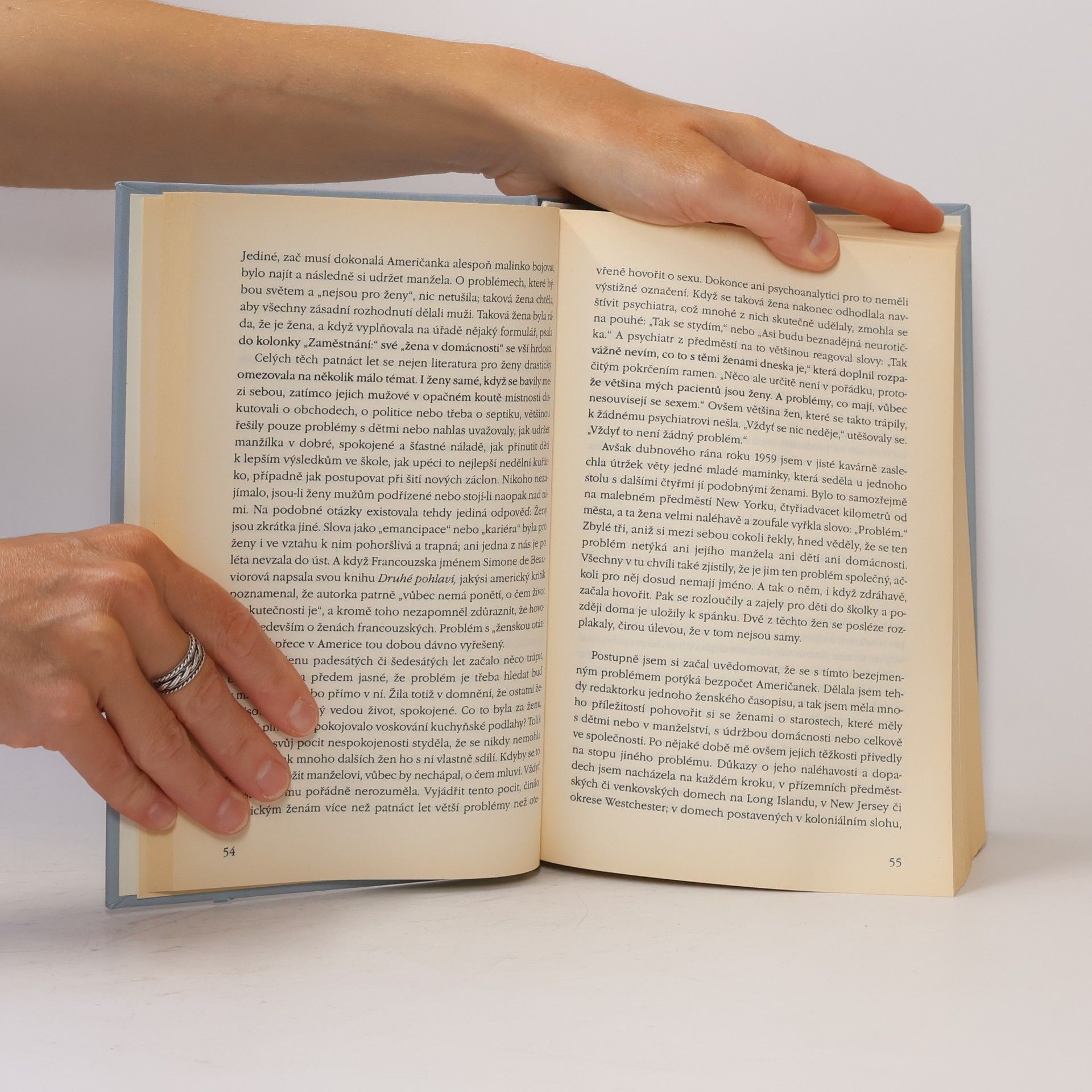 Betty Friedan Feminine mystique