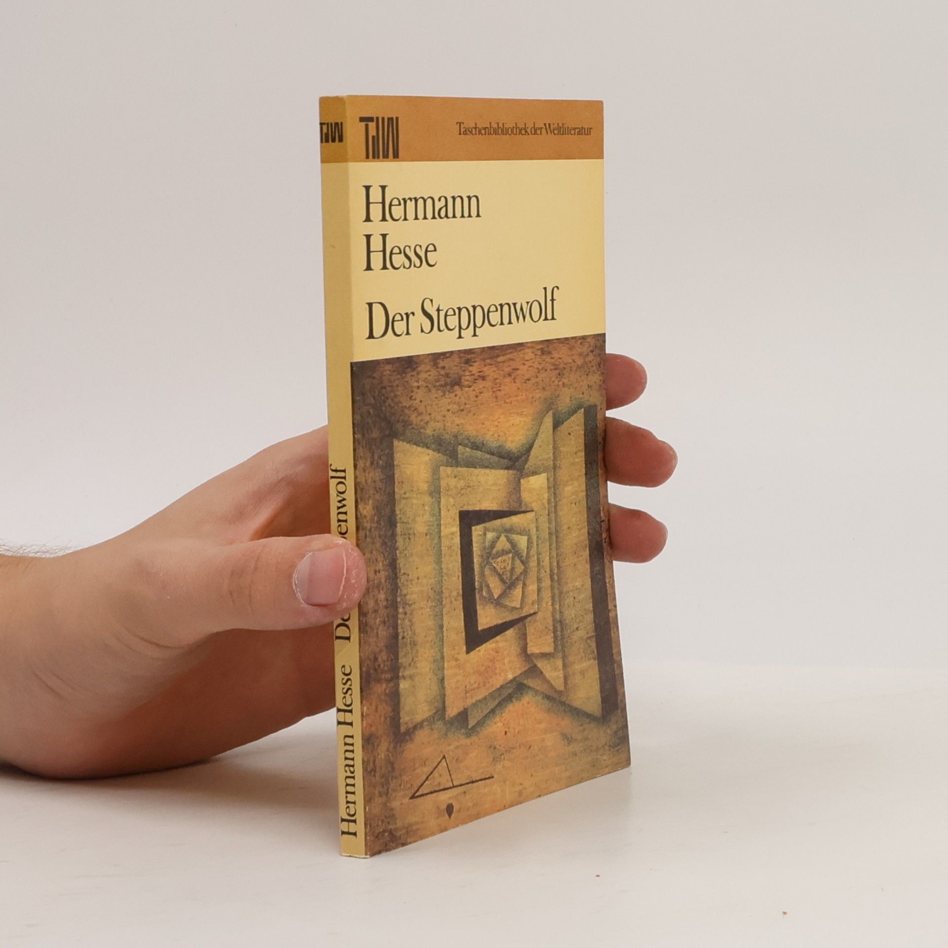 Hermann Hesse Der Steppenwolf