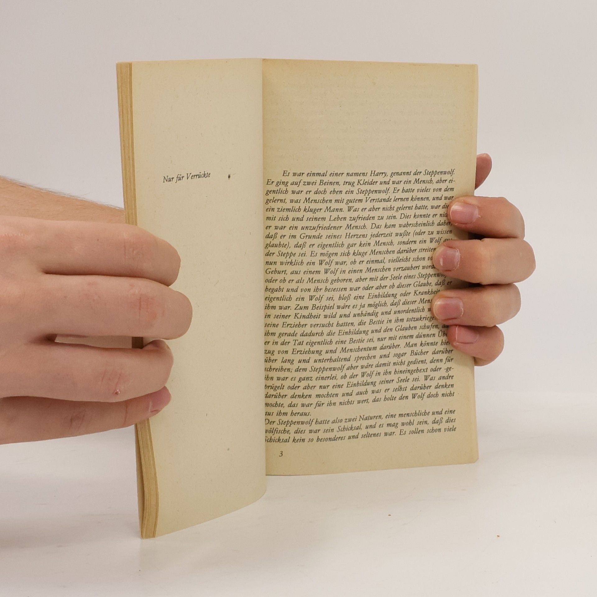 Hermann Hesse Der Steppenwolf