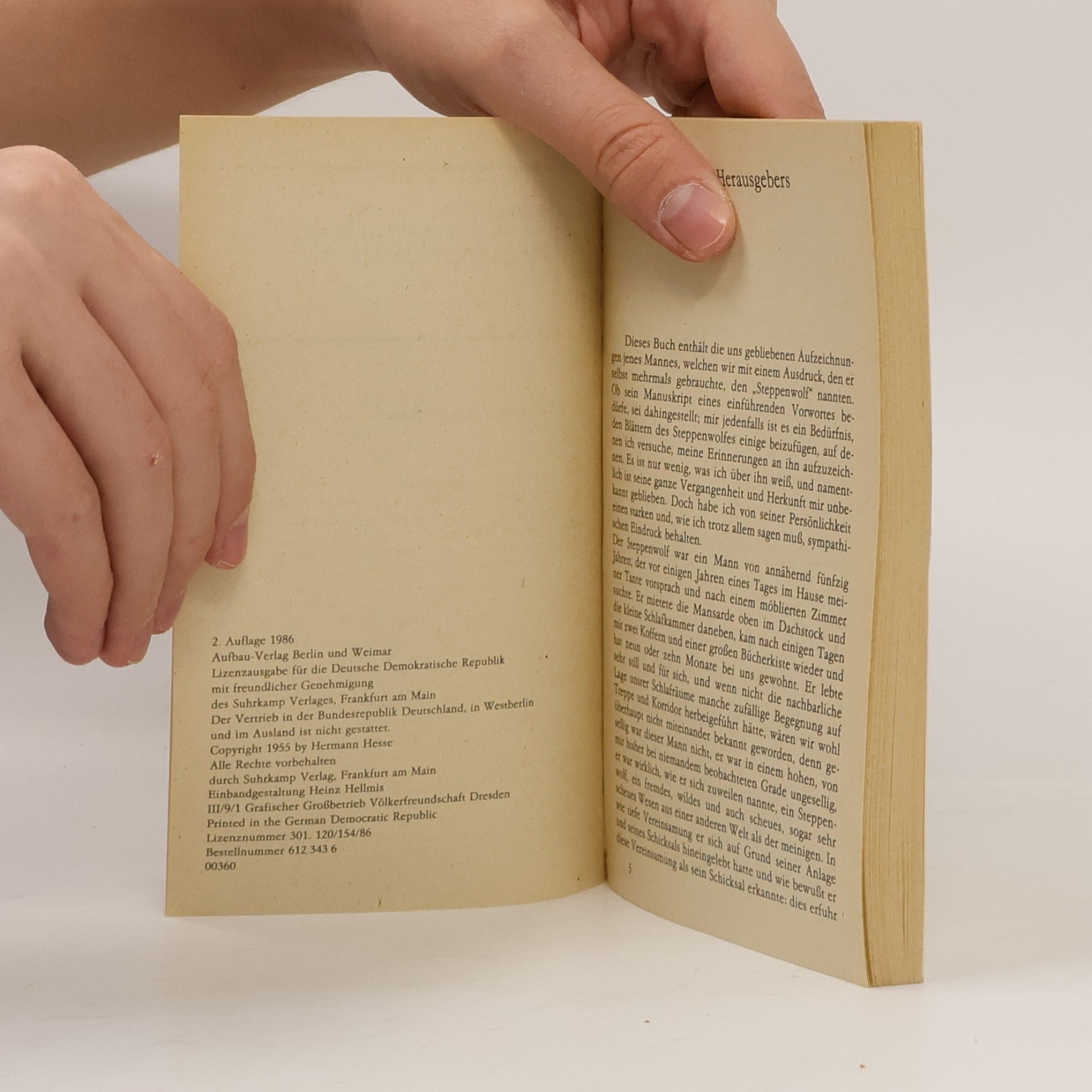 Hermann Hesse Der Steppenwolf