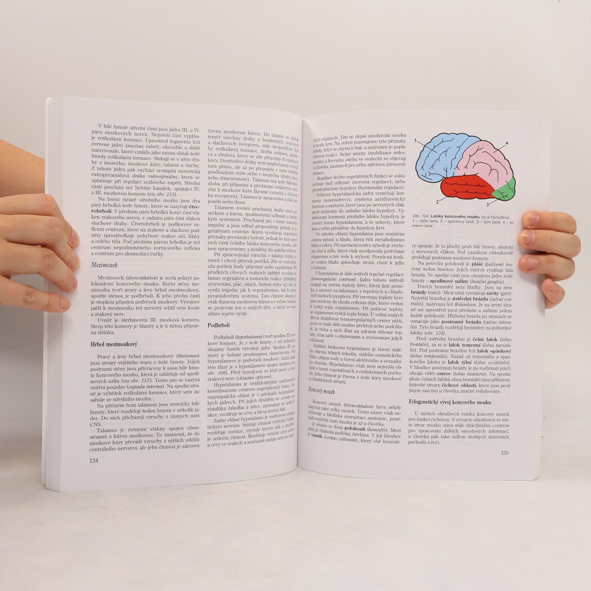 Jitka Machová Biologie člověka pro učitele
