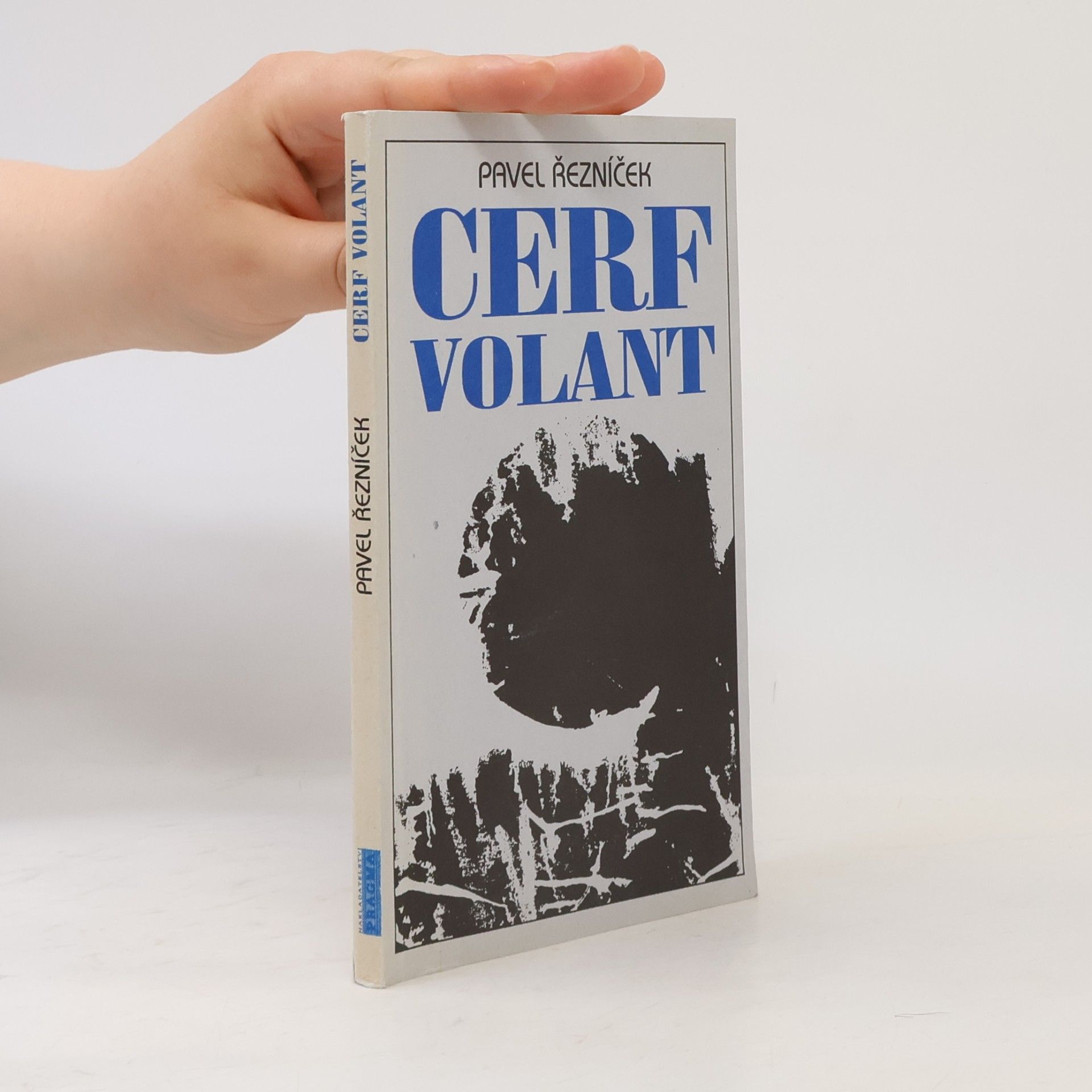 Cerf volant