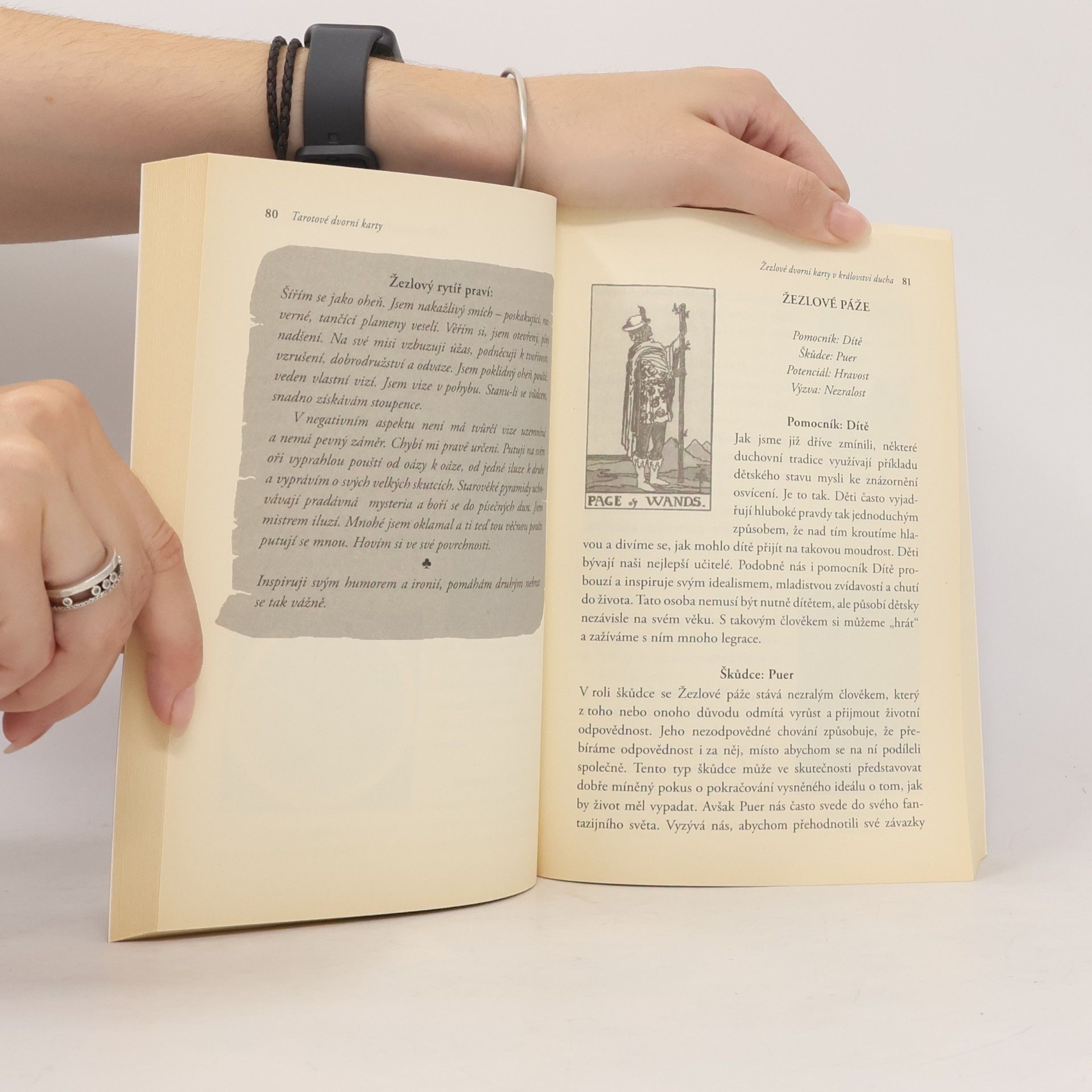 Kate Warwick-Smith Tarotové dvorní karty. Archetypální vztahové vzorce Malých arkán