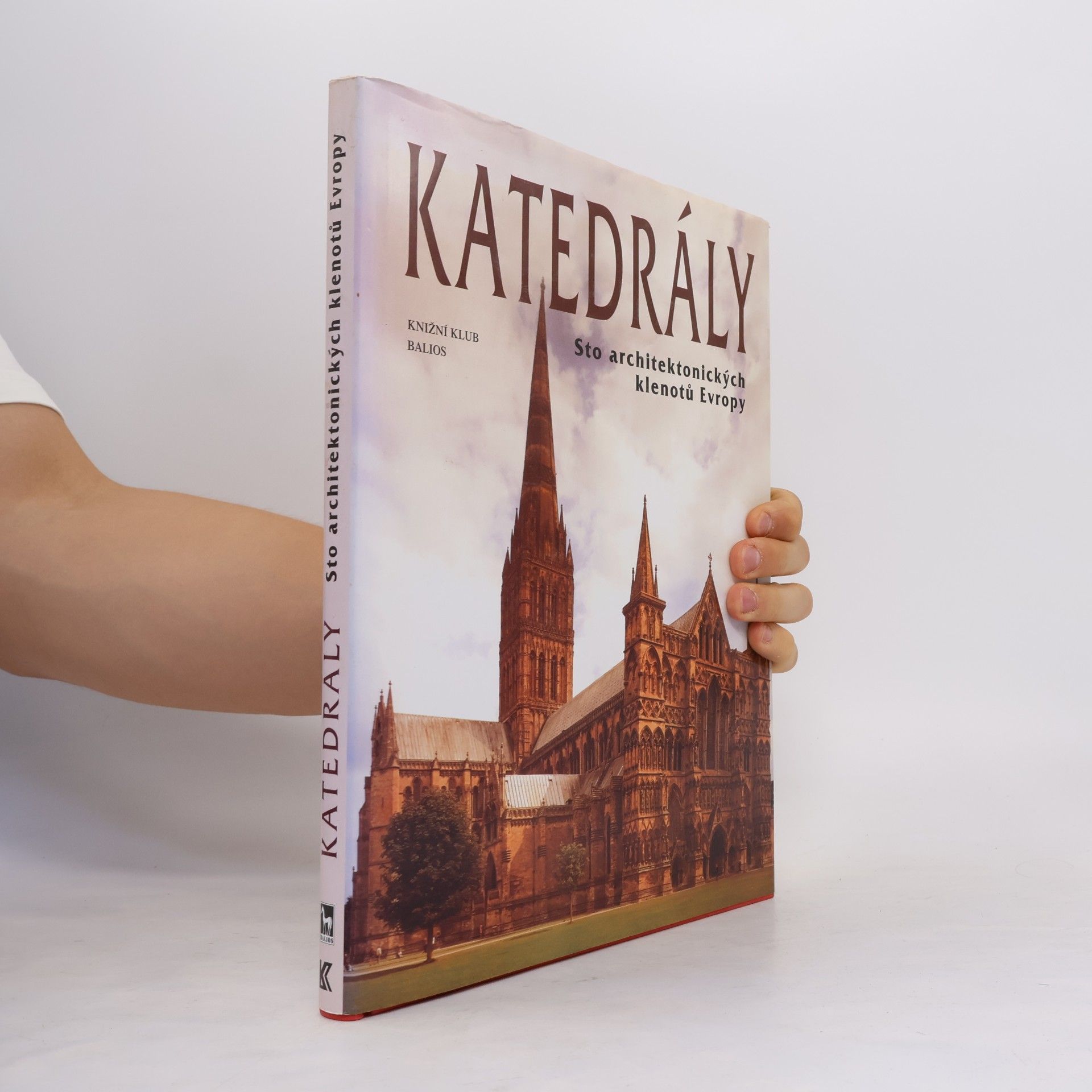 Kolektiv autorů Katedrály : sto architektonických klenotů Evropy