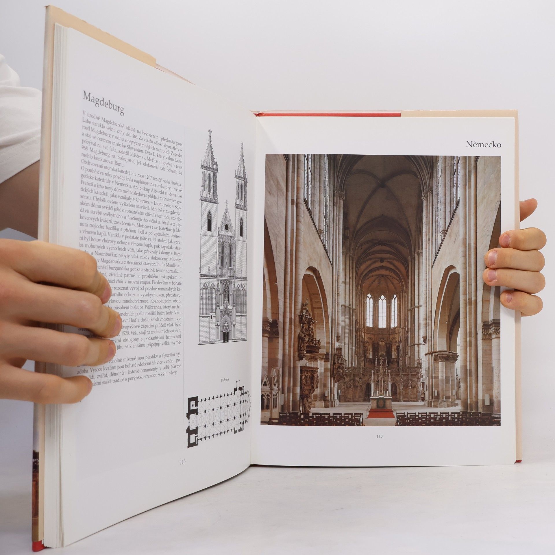 Autorenkollektiv Katedrály : sto architektonických klenotů Evropy