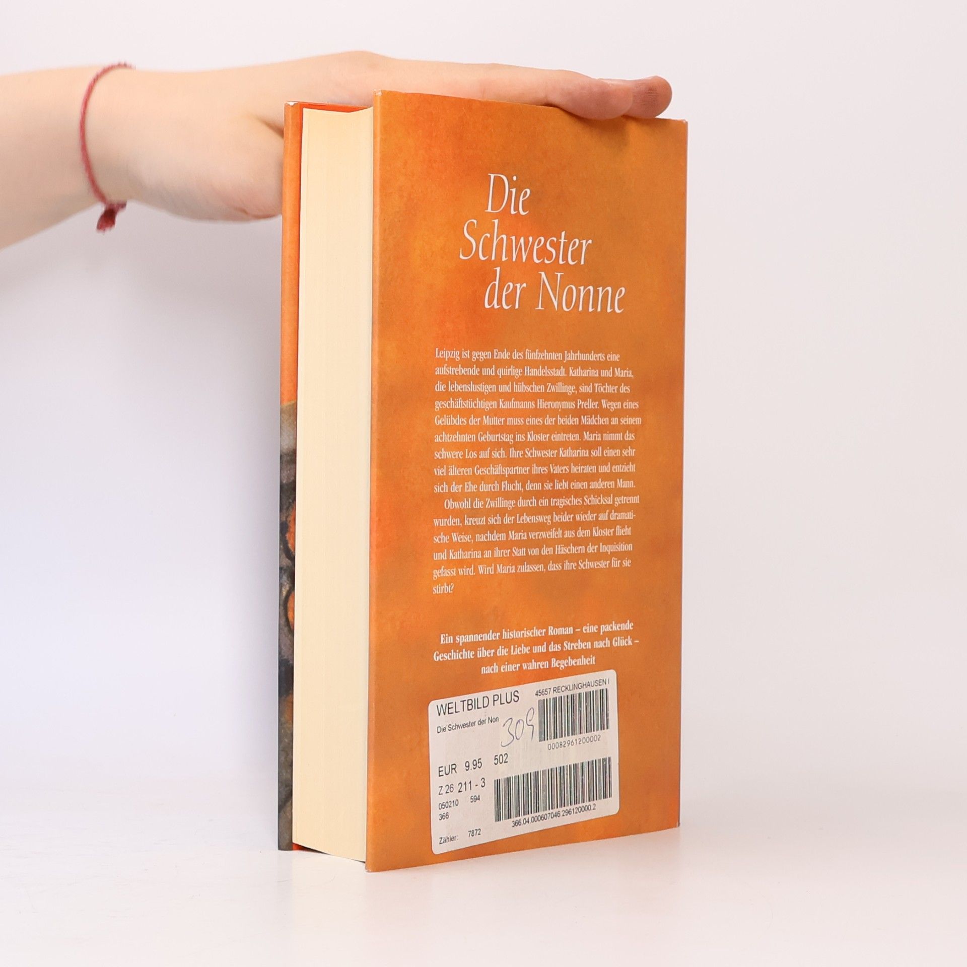 Susan Hastings Die Schwester der Nonne