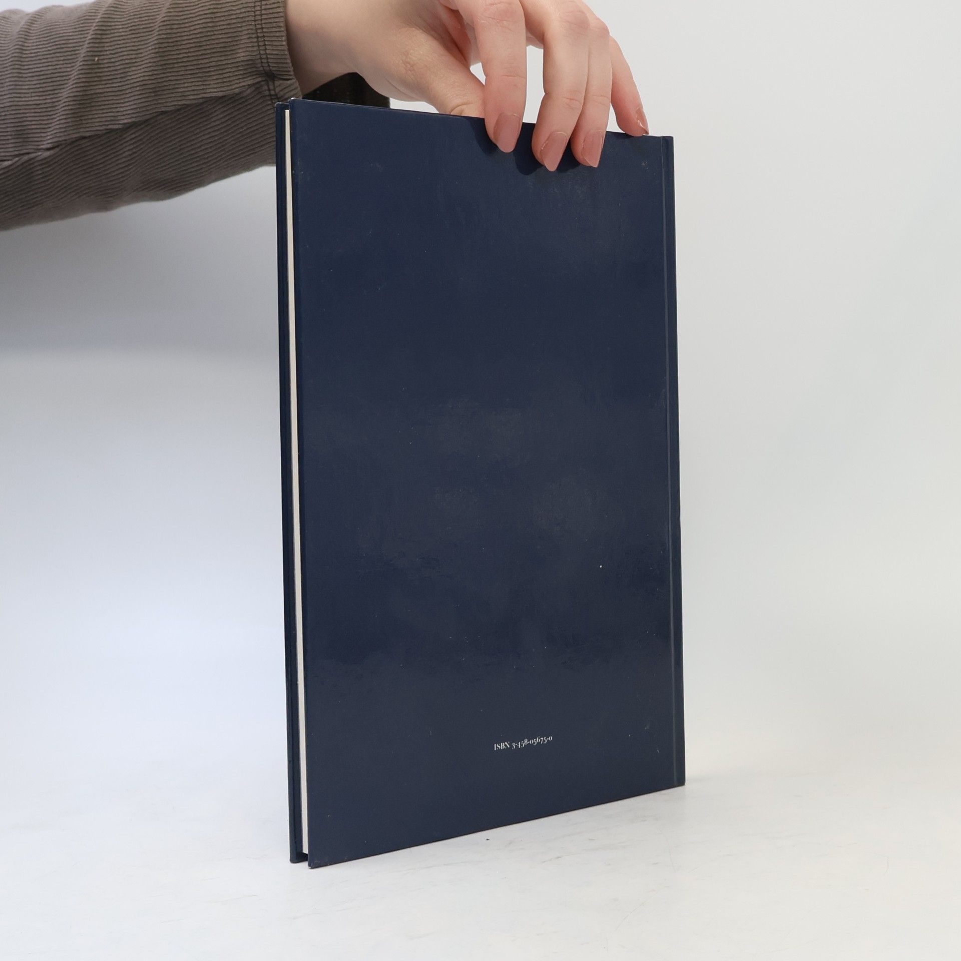 Ingrid Westerhoff Das Sternbilder-Buch