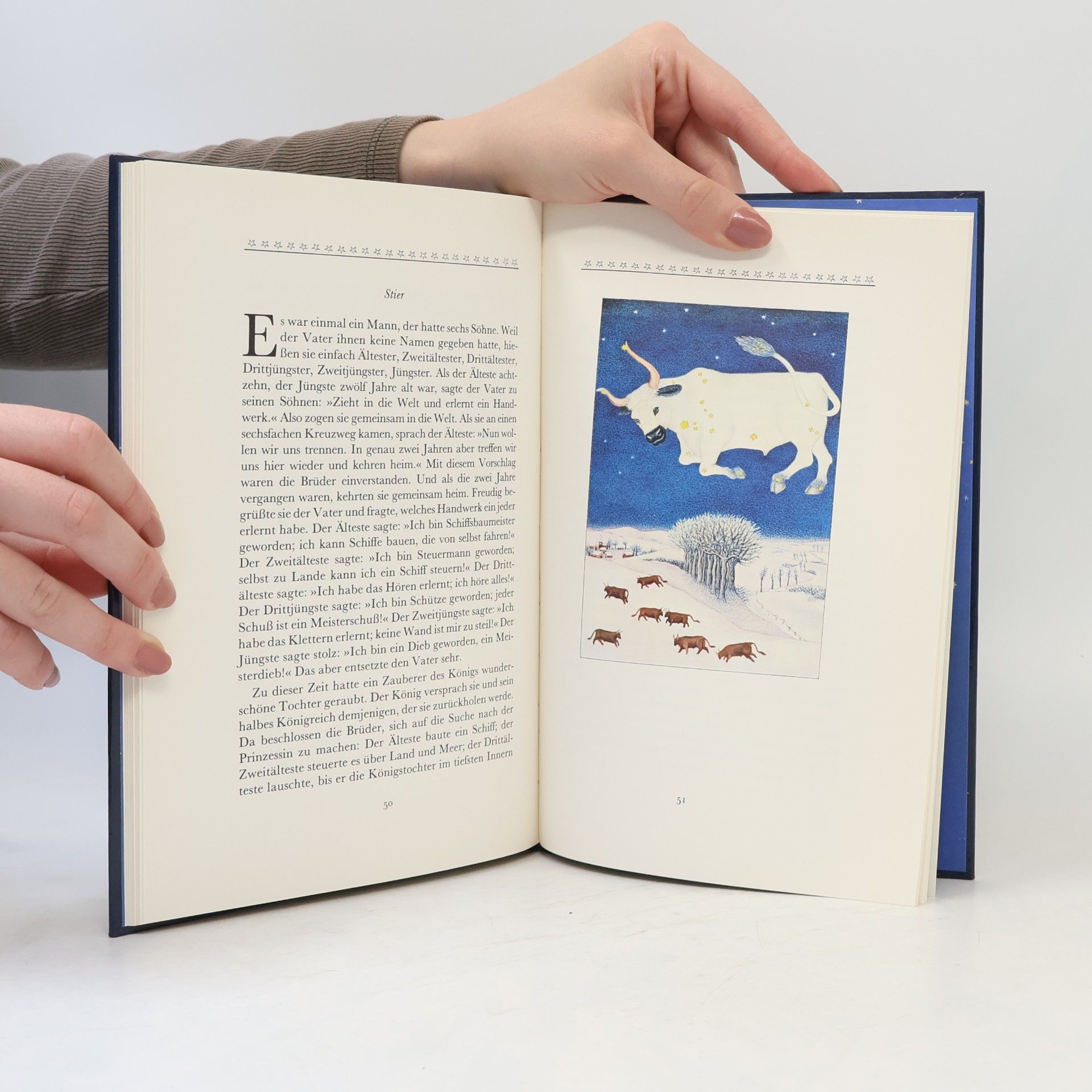 Ingrid Westerhoff Das Sternbilder-Buch