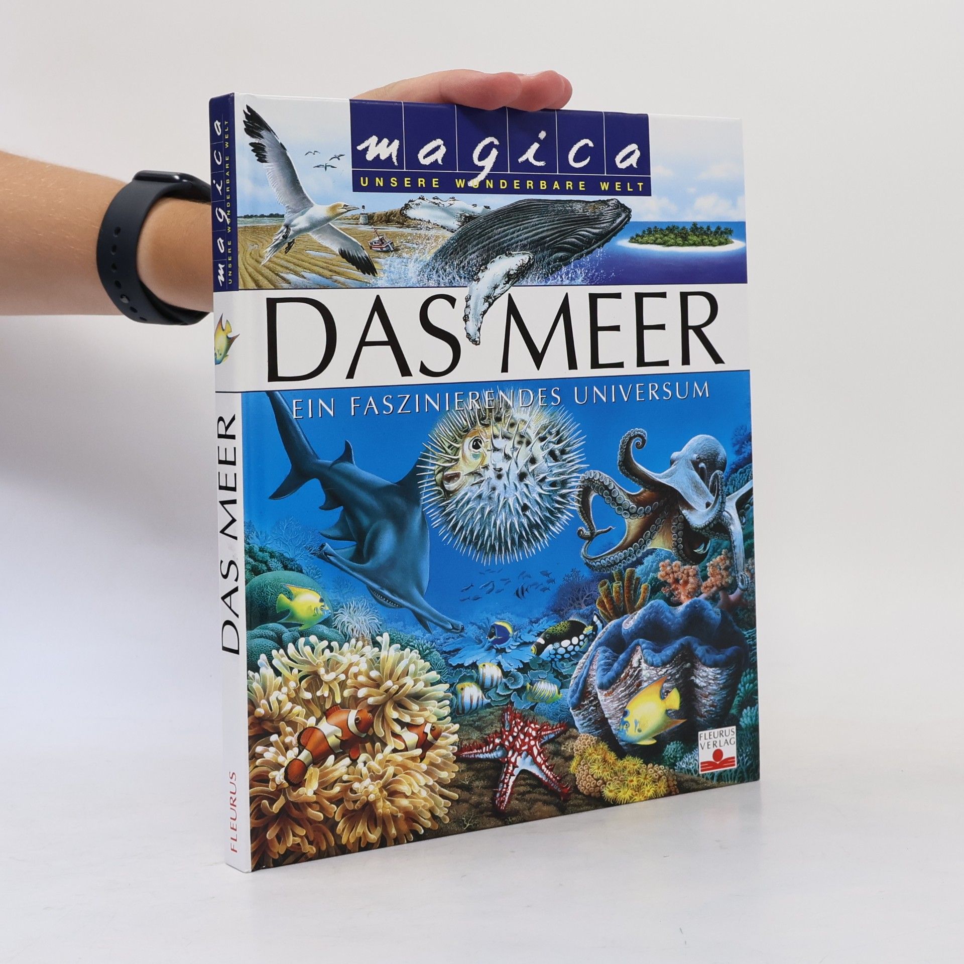 Émilie Beaumont Das Meer. Unsere wunderbare Welt