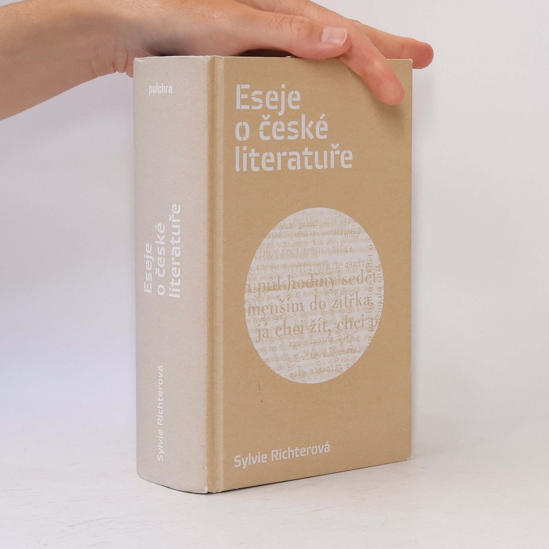 Sylvie Richterová Eseje o české literatuře