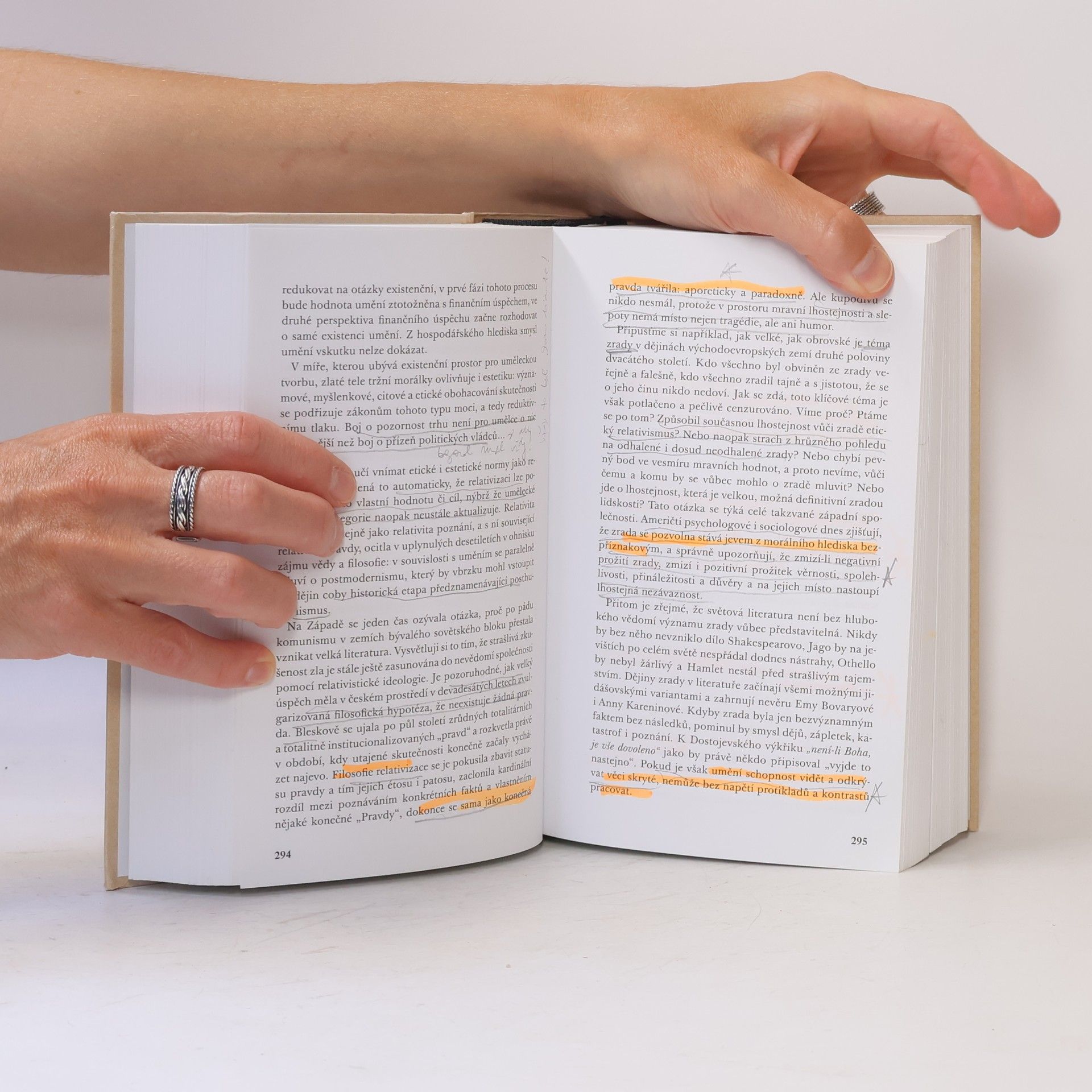 Sylvie Richterová Eseje o české literatuře