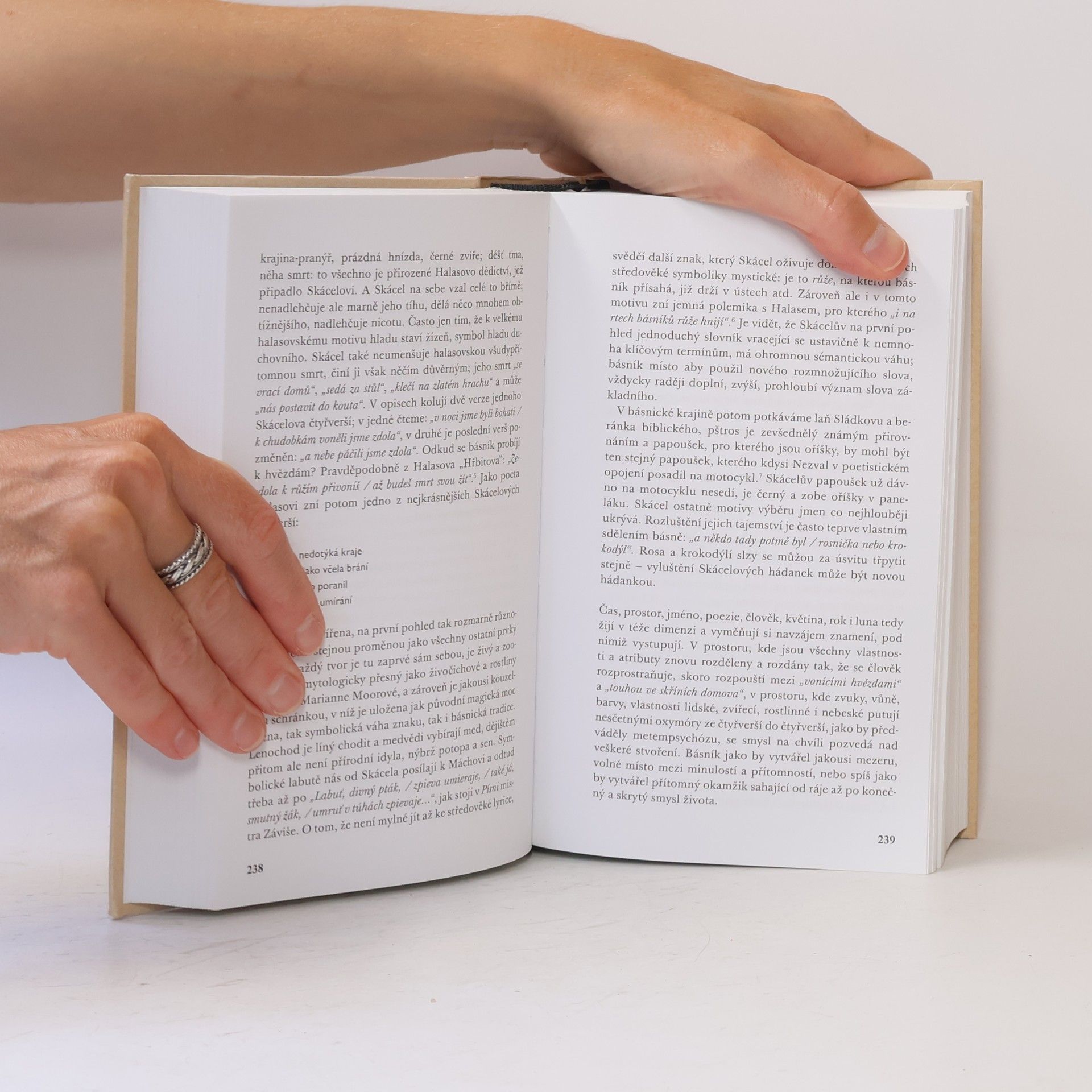 Sylvie Richterová Eseje o české literatuře