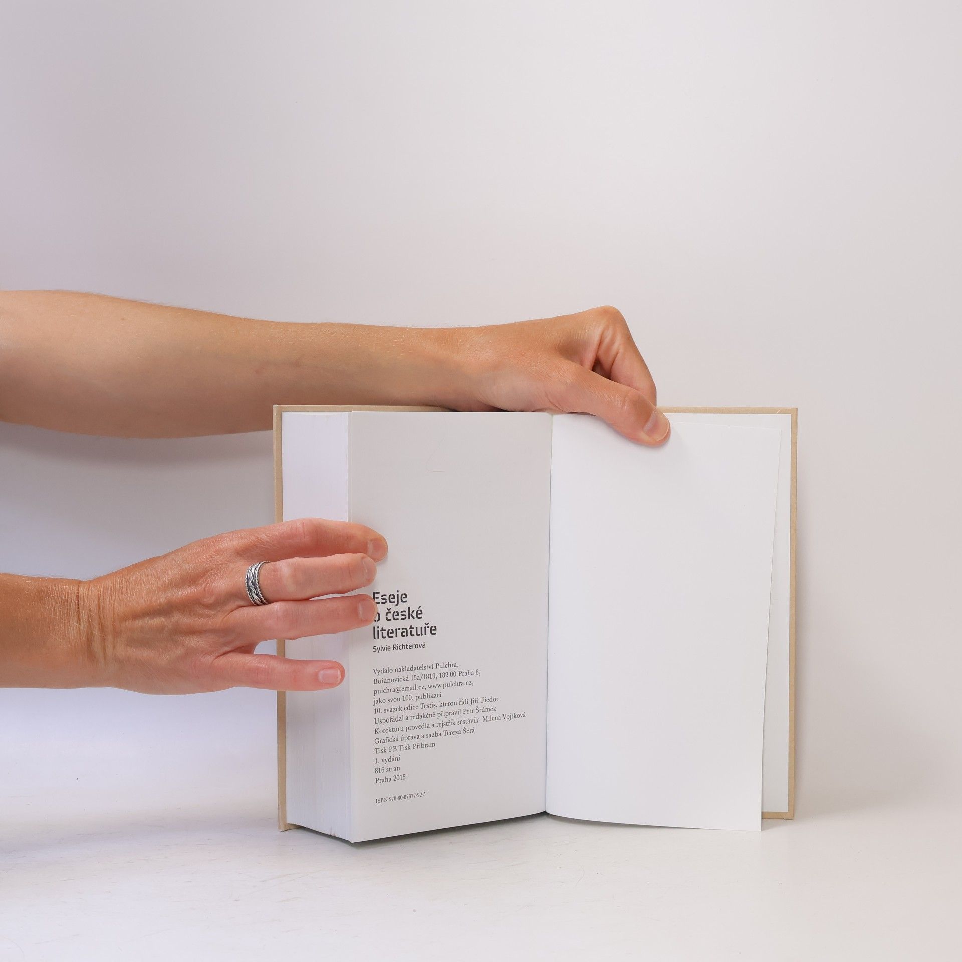 Sylvie Richterová Eseje o české literatuře