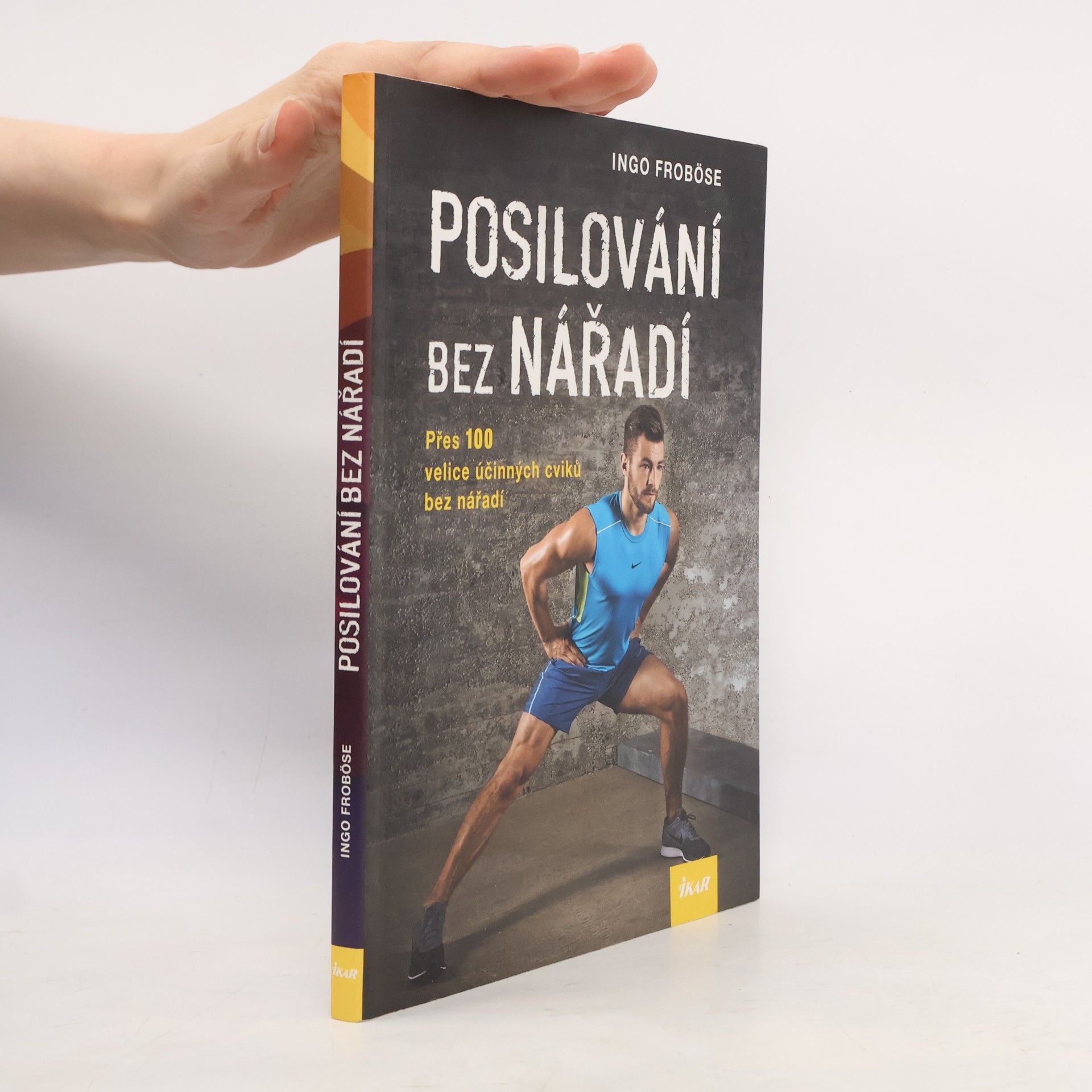 Ingo Froböse Posilování bez nářadí