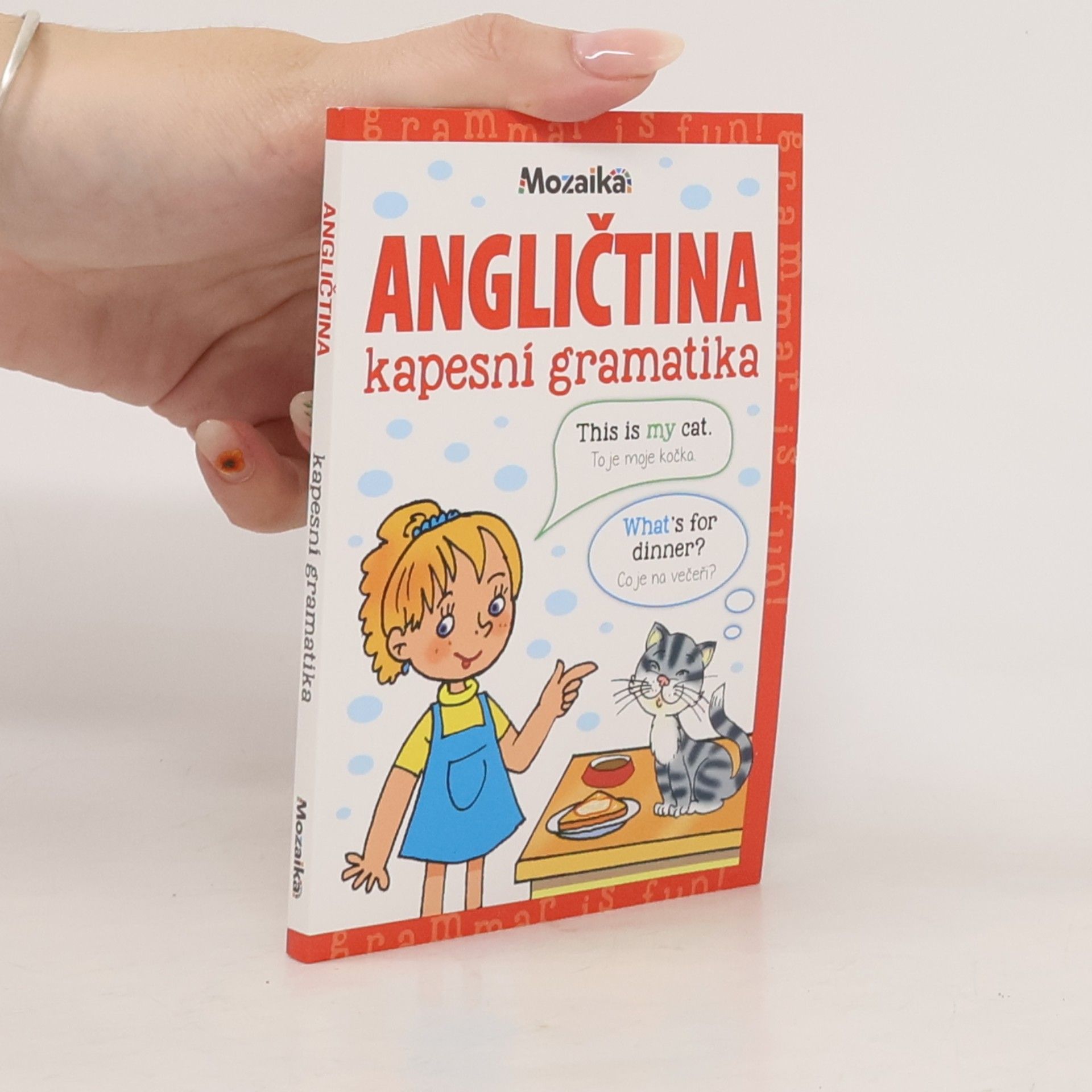Martina Kutalová Angličtina - kapesní gramatika