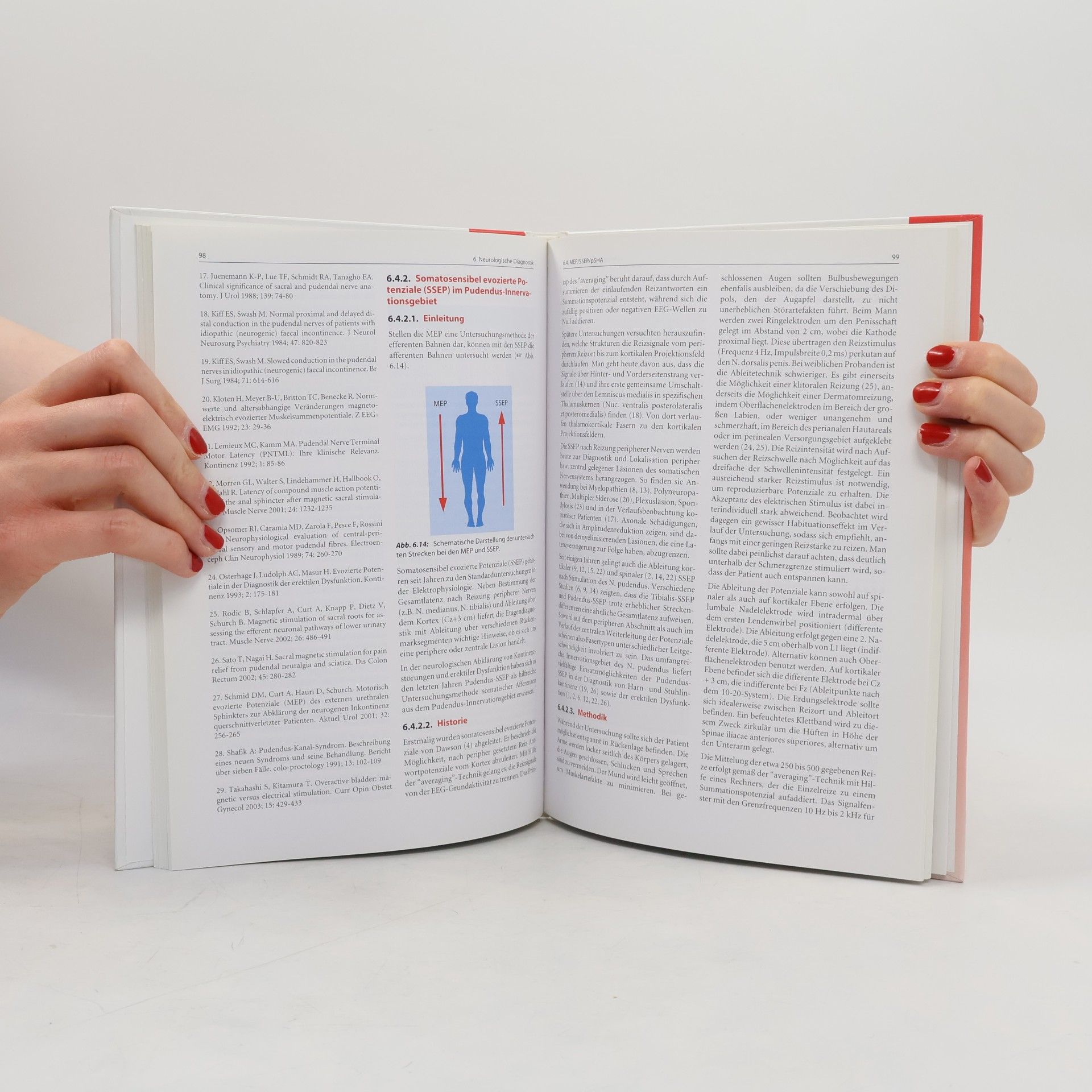 Neurologie des Beckenbodens - Neurourologie
