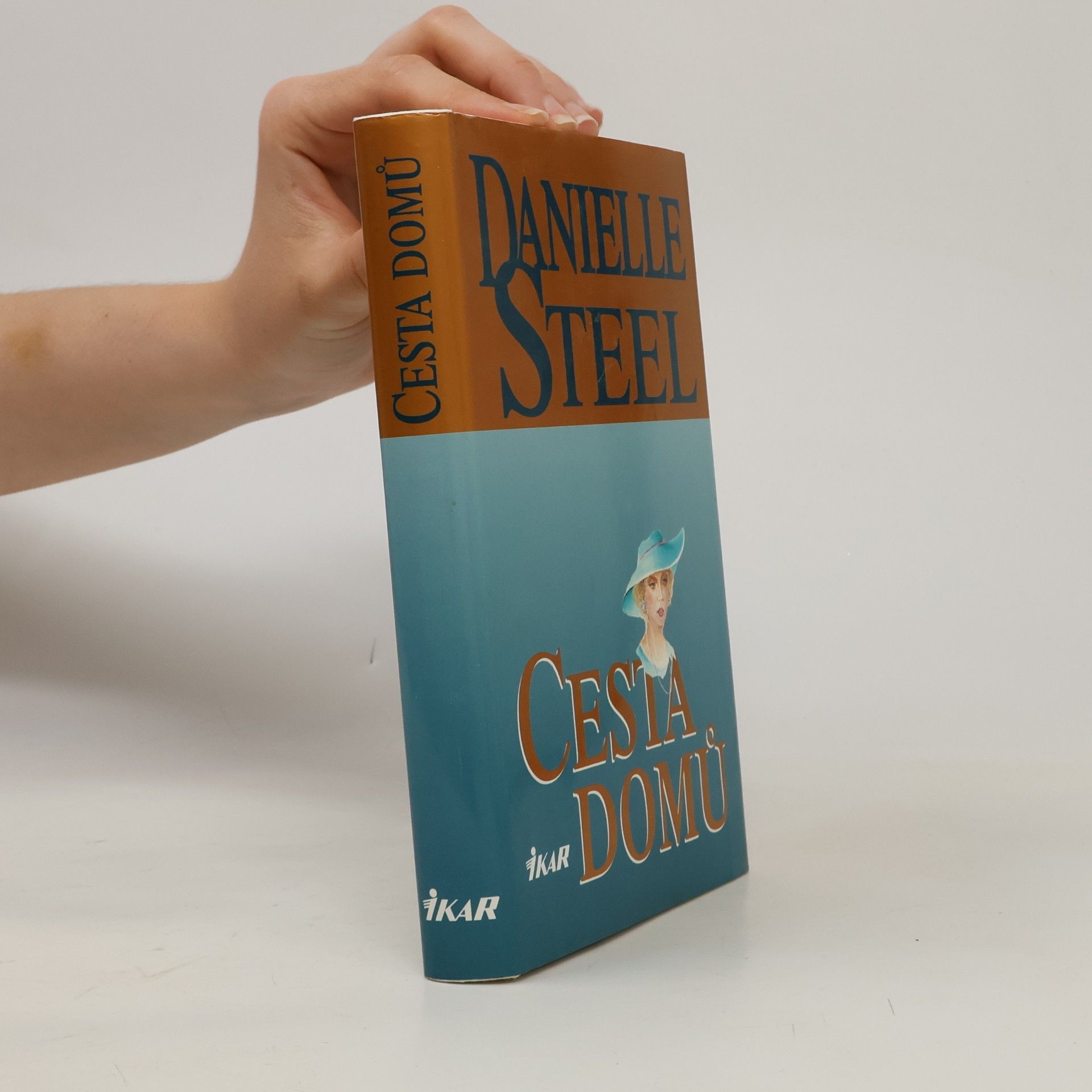 Danielle Steel Cesta domů
