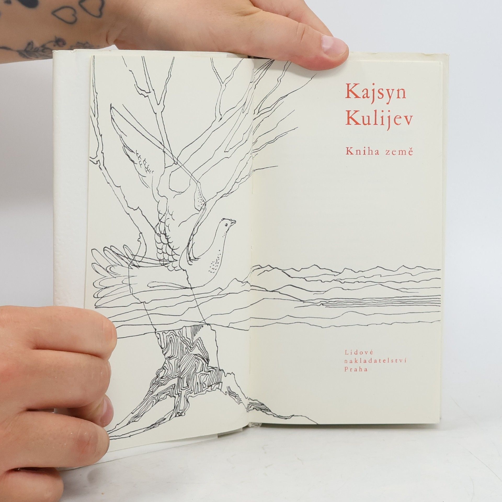 Kajsyn Kulijev Kniha země