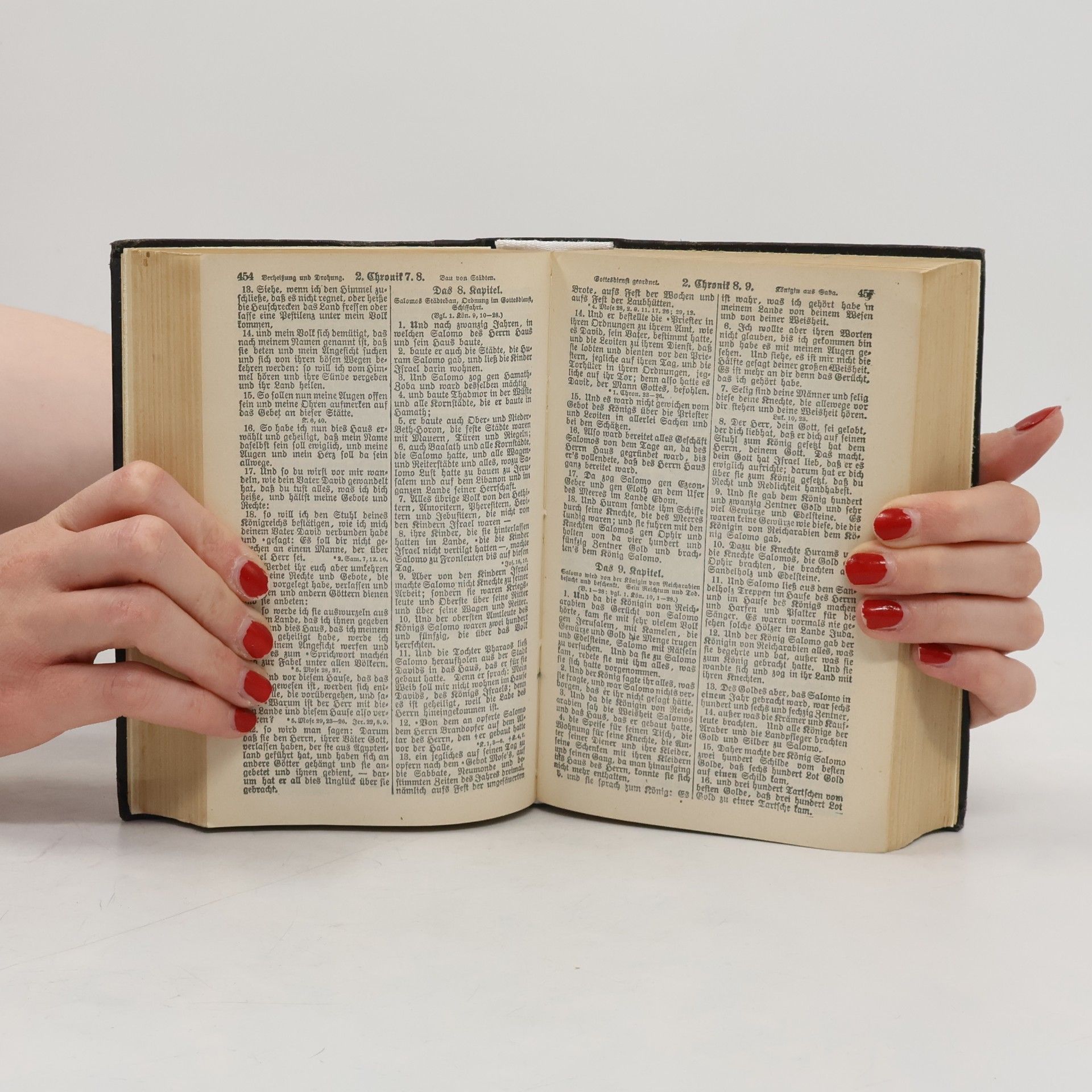 Martin Luther Die Bibel oder die ganze Heilige Schrift des Alten und Neuen Testamensts