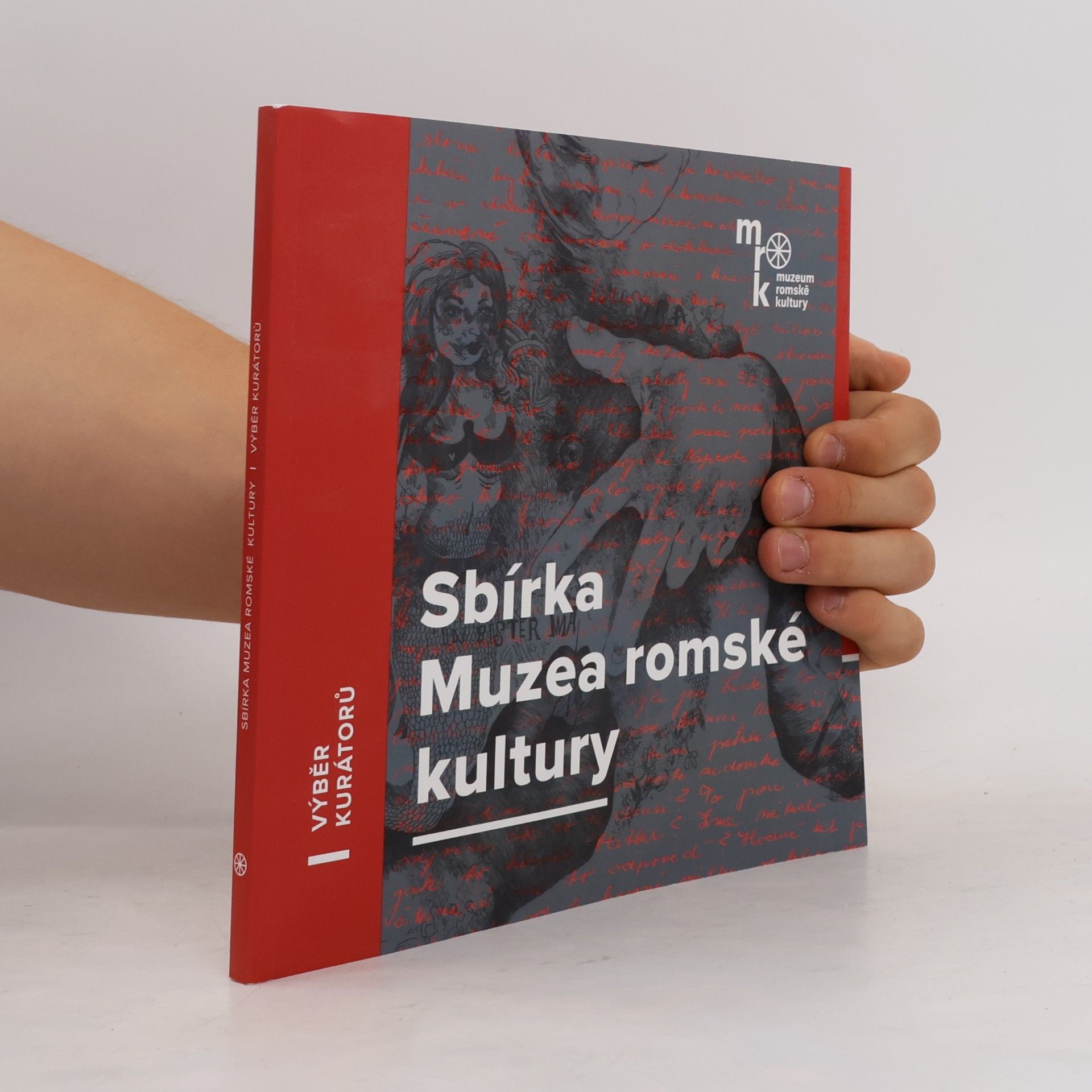 Kolektiv autorů Sbírka Muzea romské kultury : výběr kurátorů