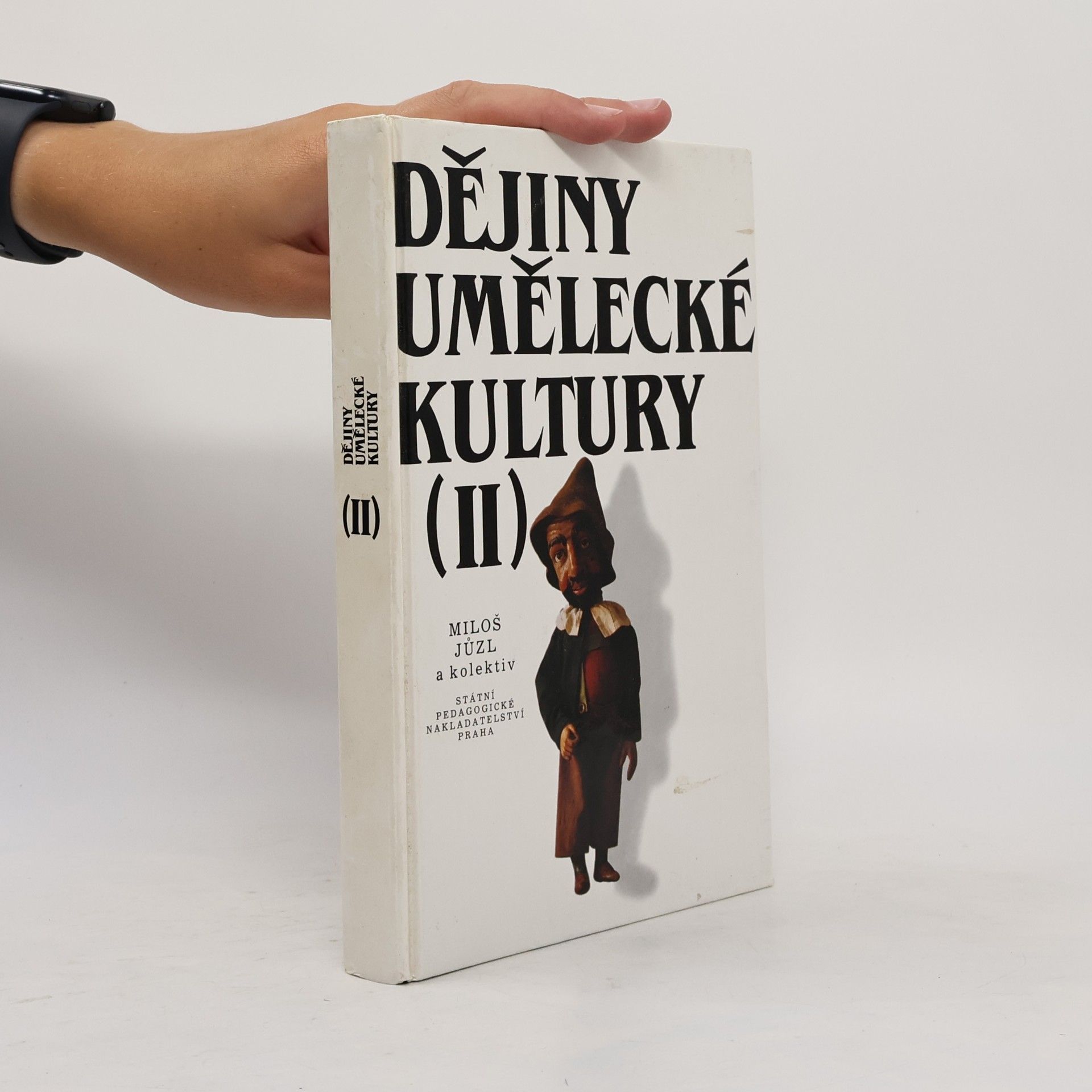 Miloš Jůzl Dějiny umělecké kultury II.