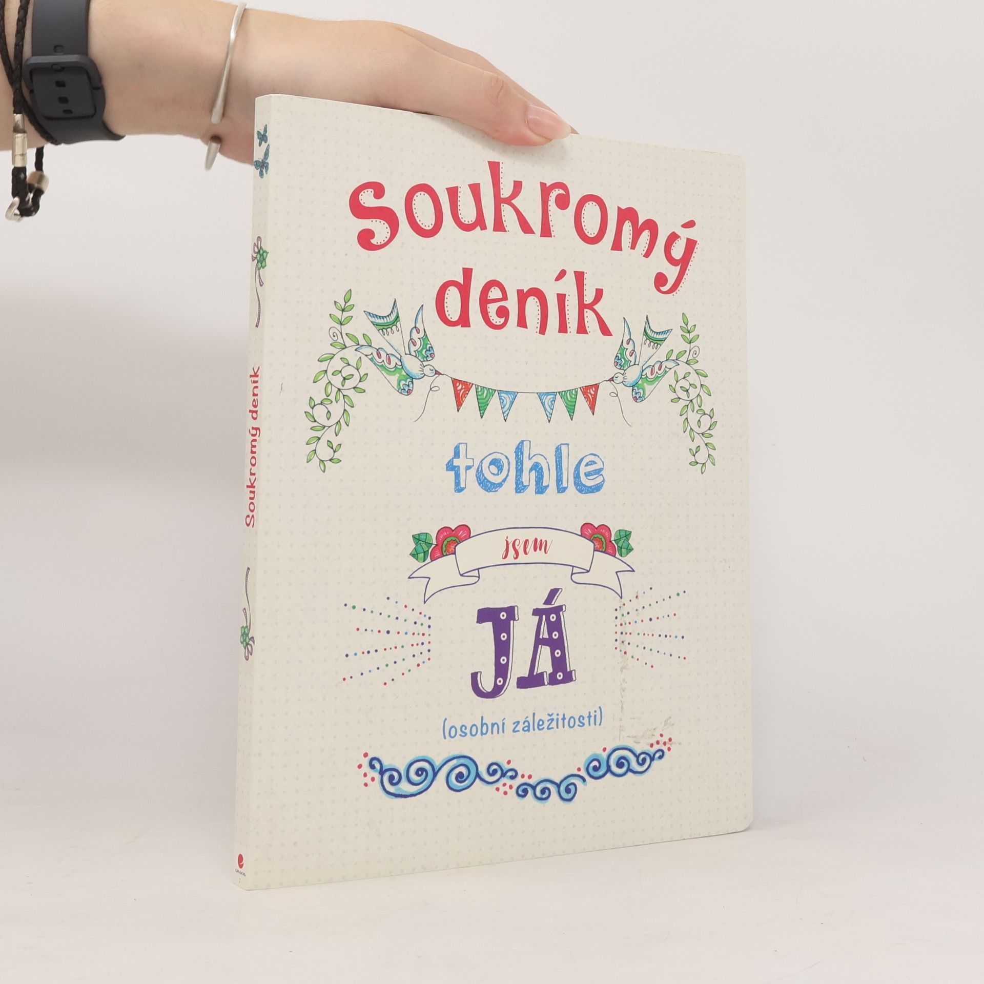 Cindy Wilde Soukromý deník